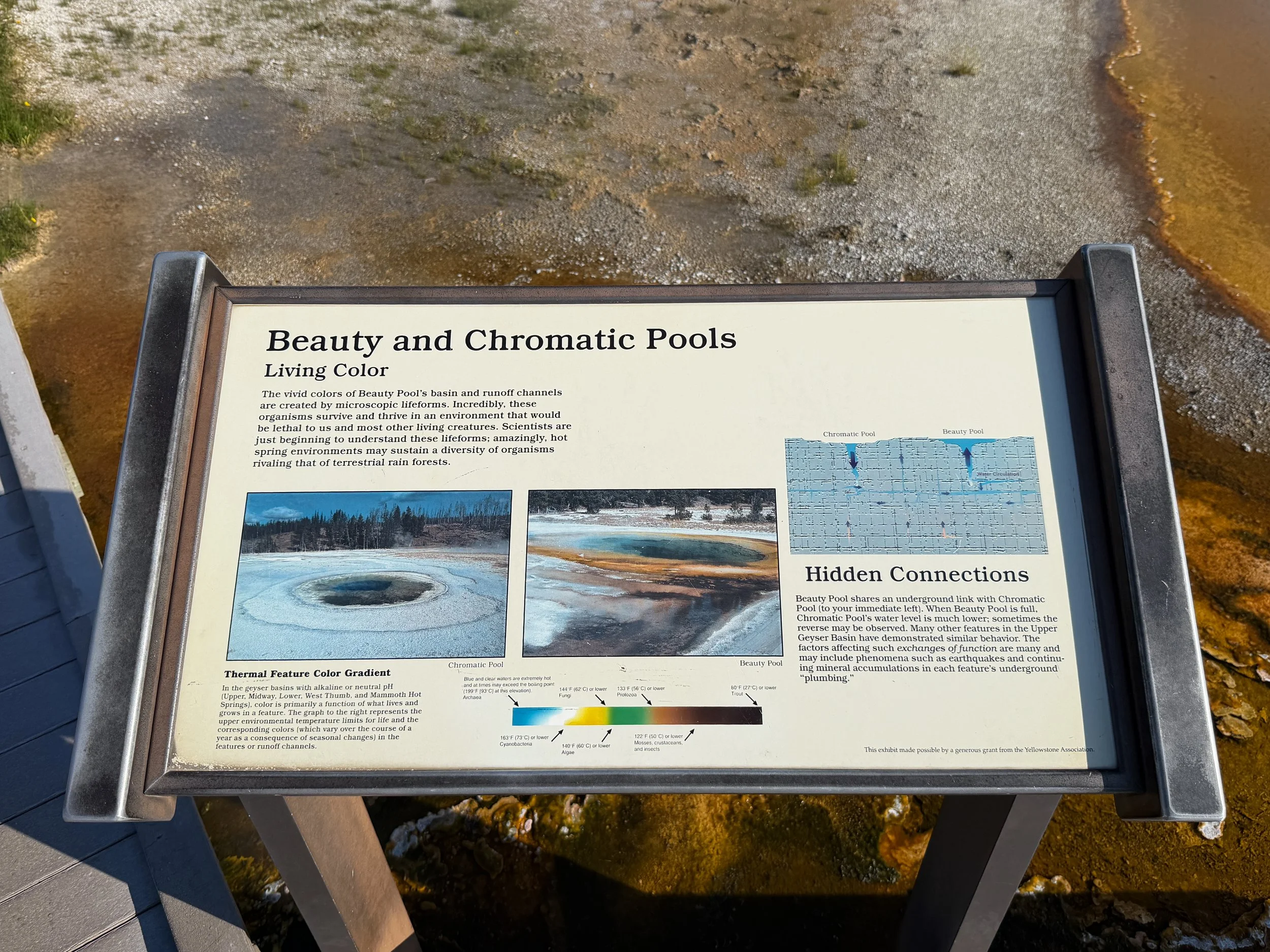 Beauty Pool Yellowstone National Park Wyoming