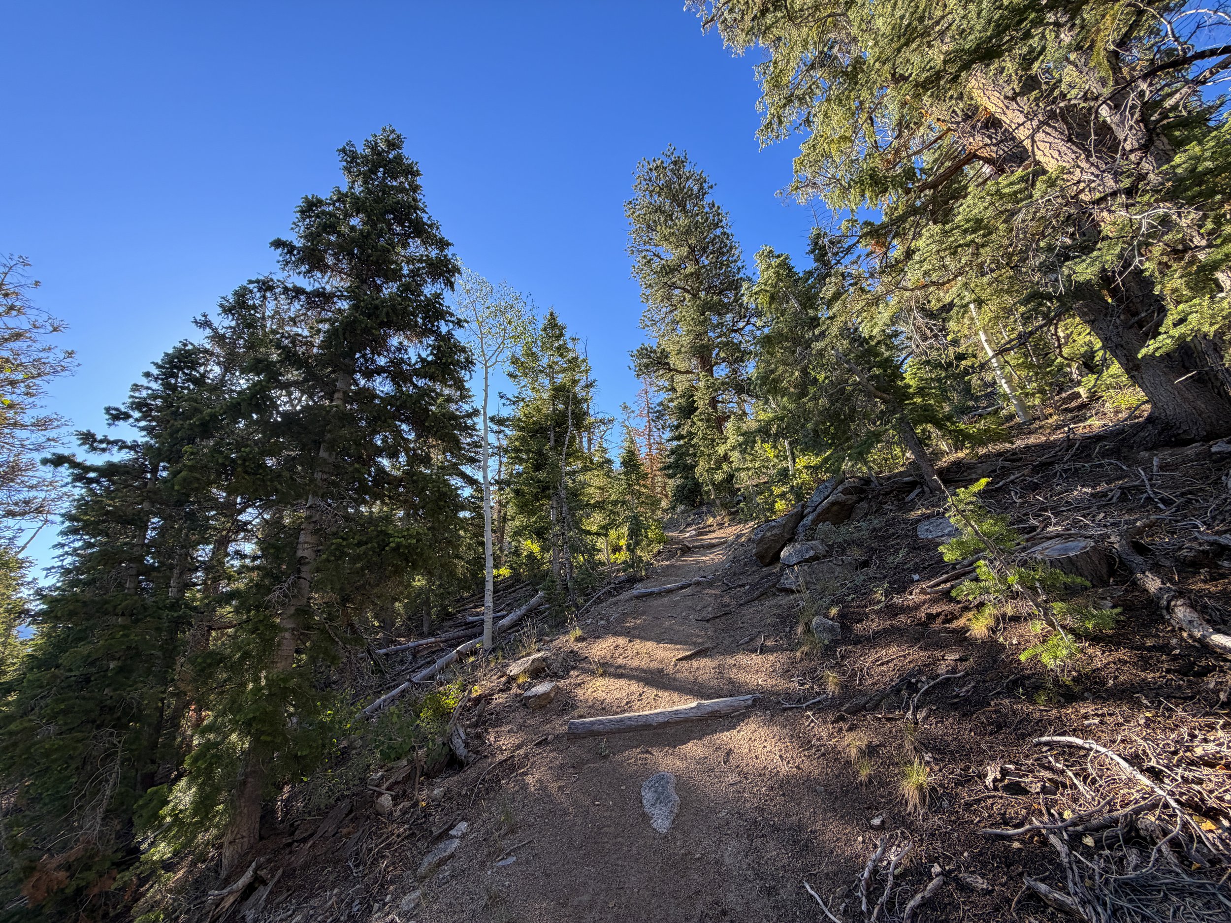 Snake Divide Trail Great Basin National Park Nevada