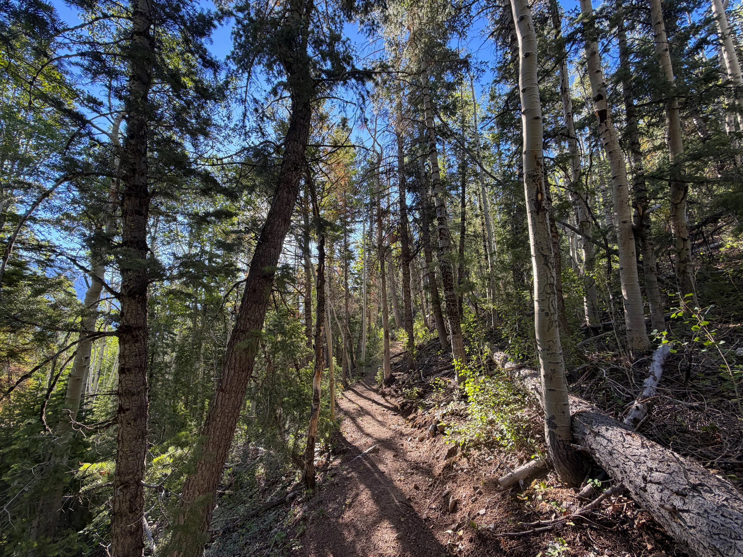Snake Divide Trail Great Basin National Park Nevada