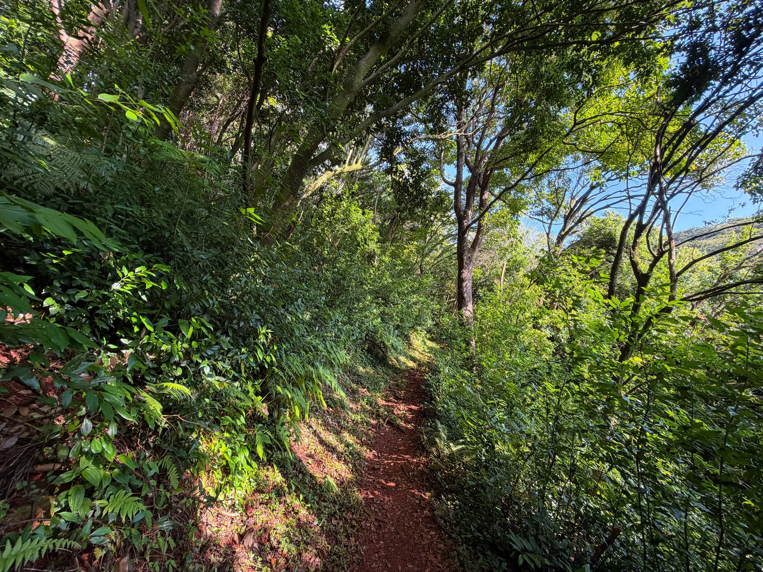 Nuuanu Trail Oahu Hawaii