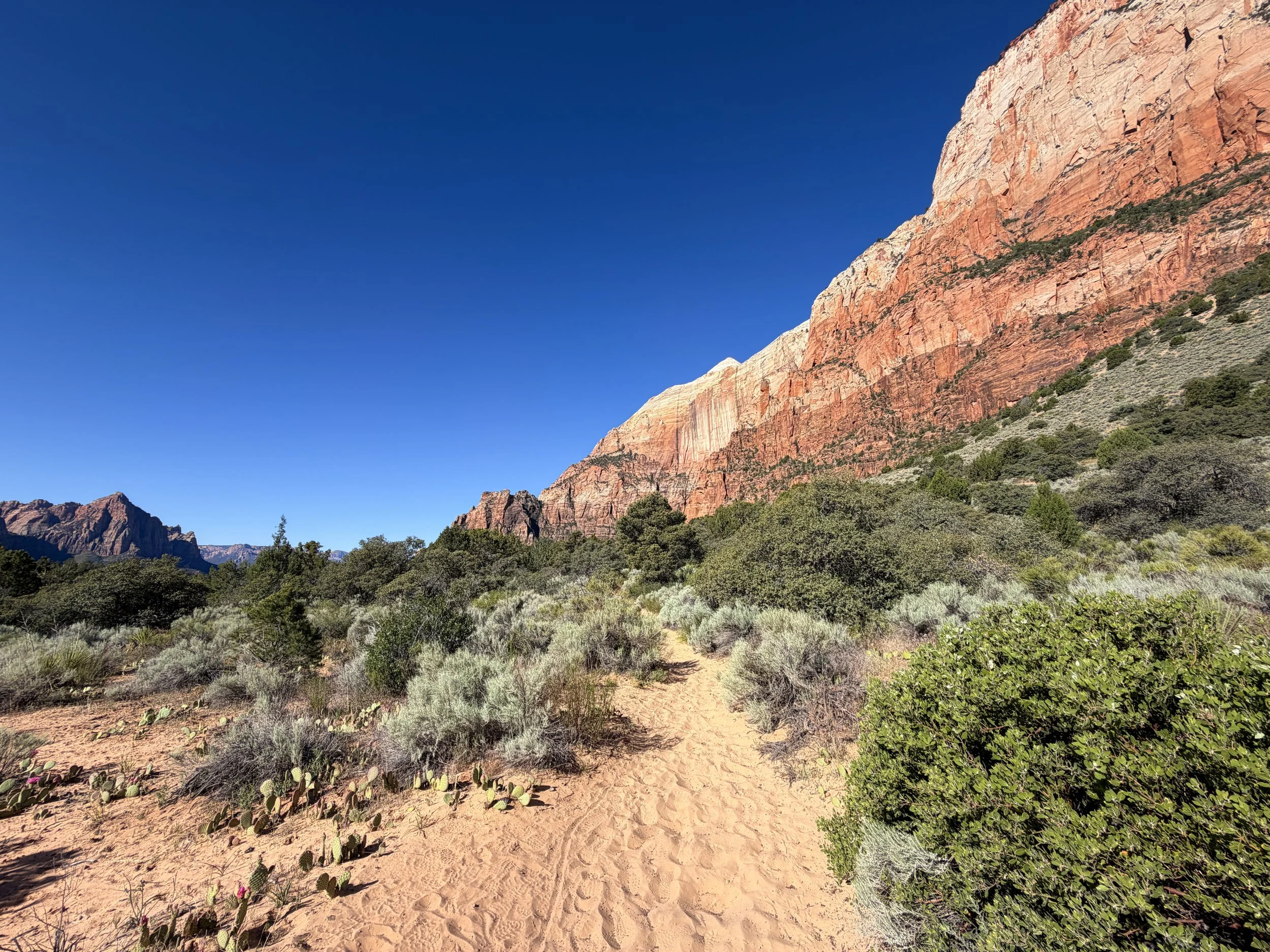 Sand Bench Hike Zion National Park Utah