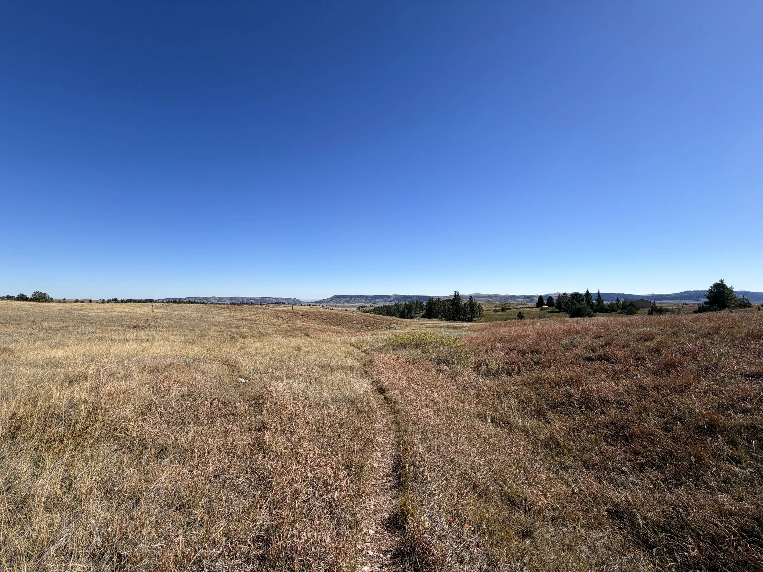 East Bison Flats Trail Wind Cave National Park South Dakota
