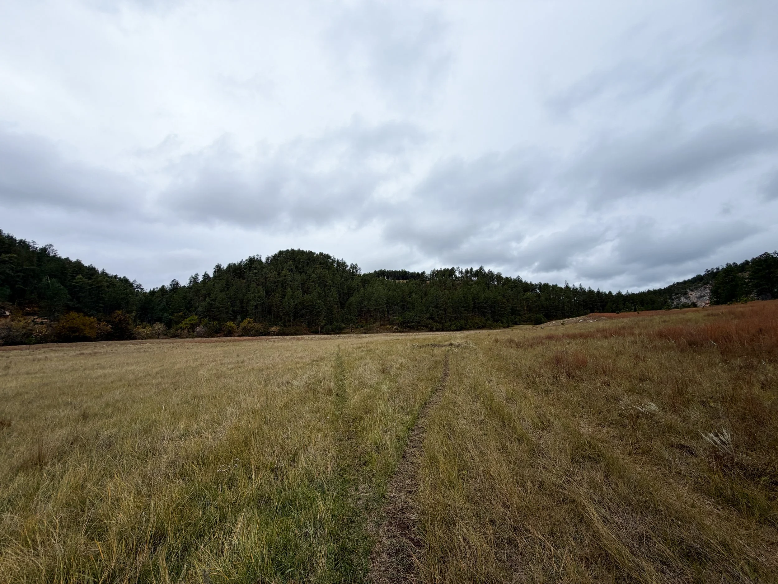 Highland Creek Trail Wind Cave National Park South Dakota