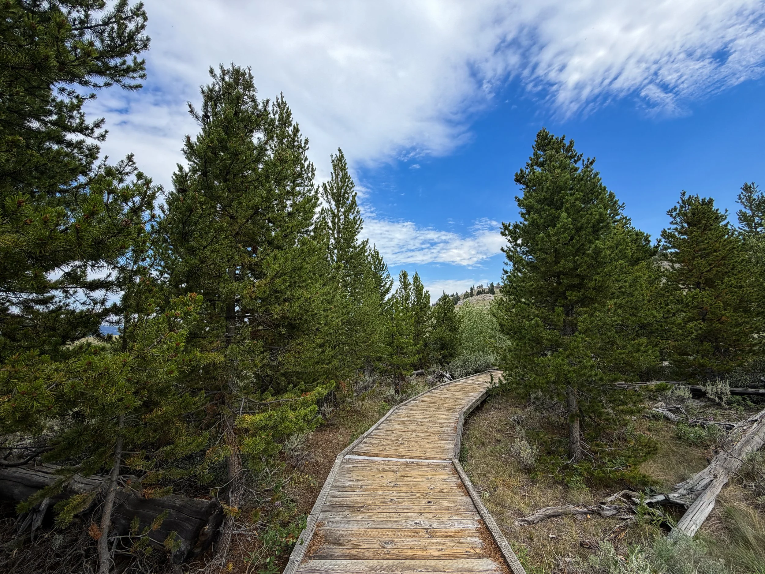 Forces of the Northern Range Trail Yellowstone National Park Wyoming