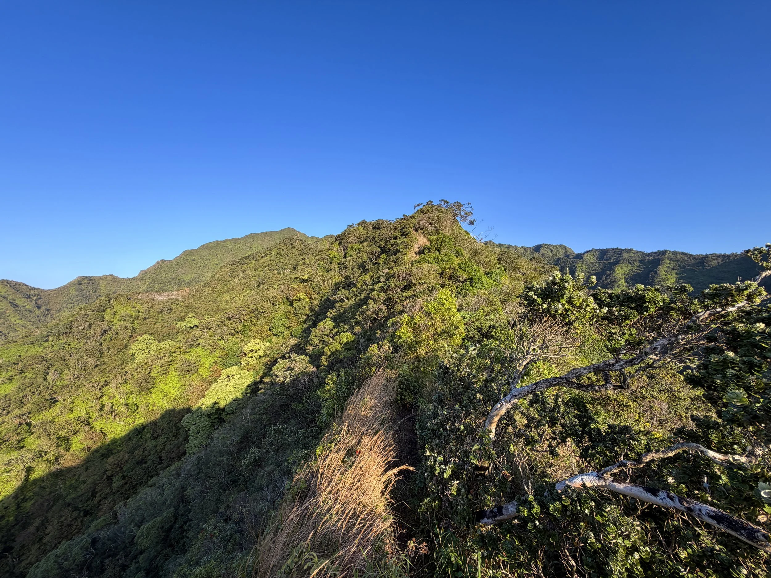 Back Way to Stairway to Heaven Moanalua Middle Ridge Hike Oahu Hawaii