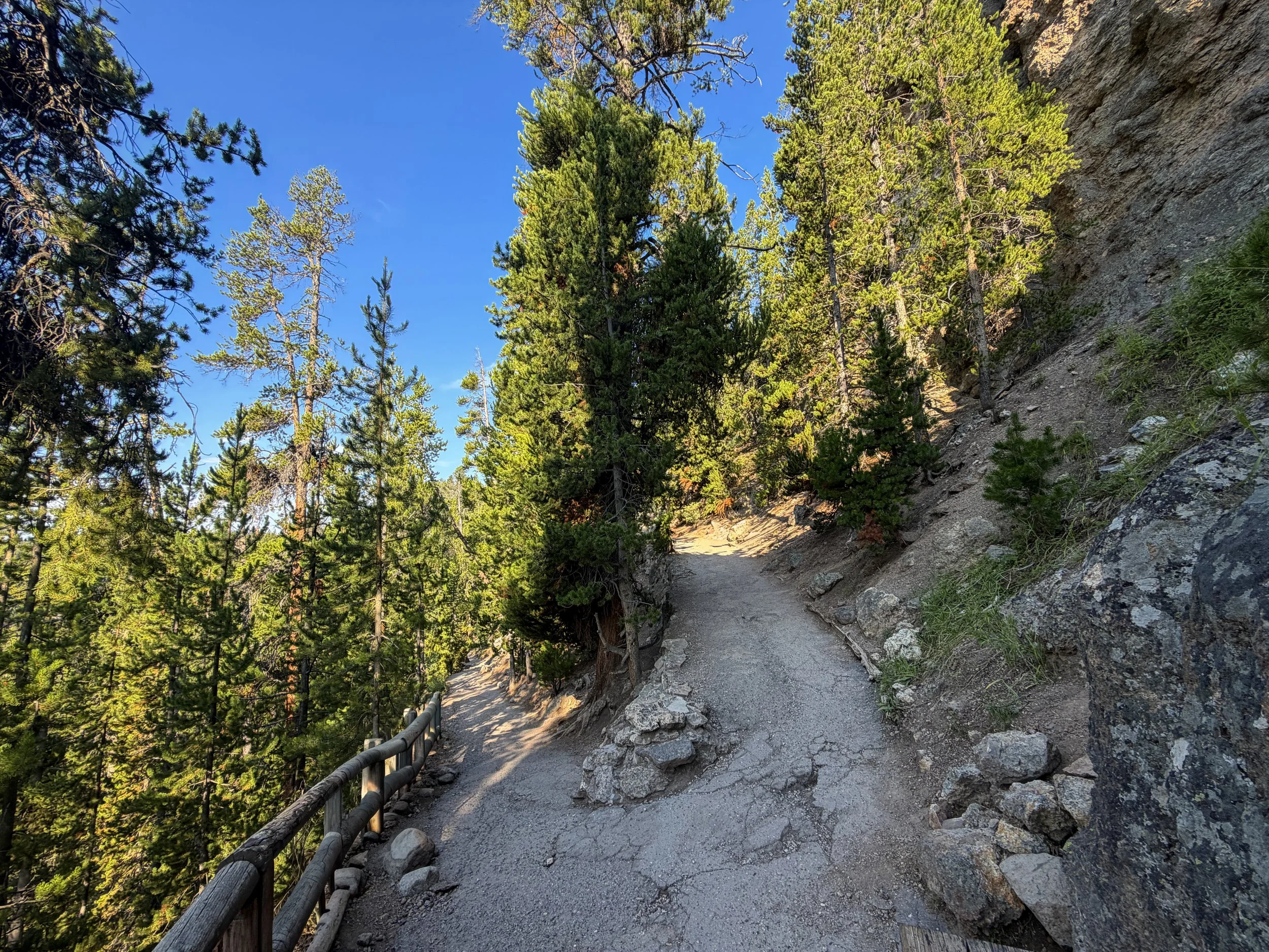 Brink of the Lower Falls Trail Yellowstone National Park Wyoming