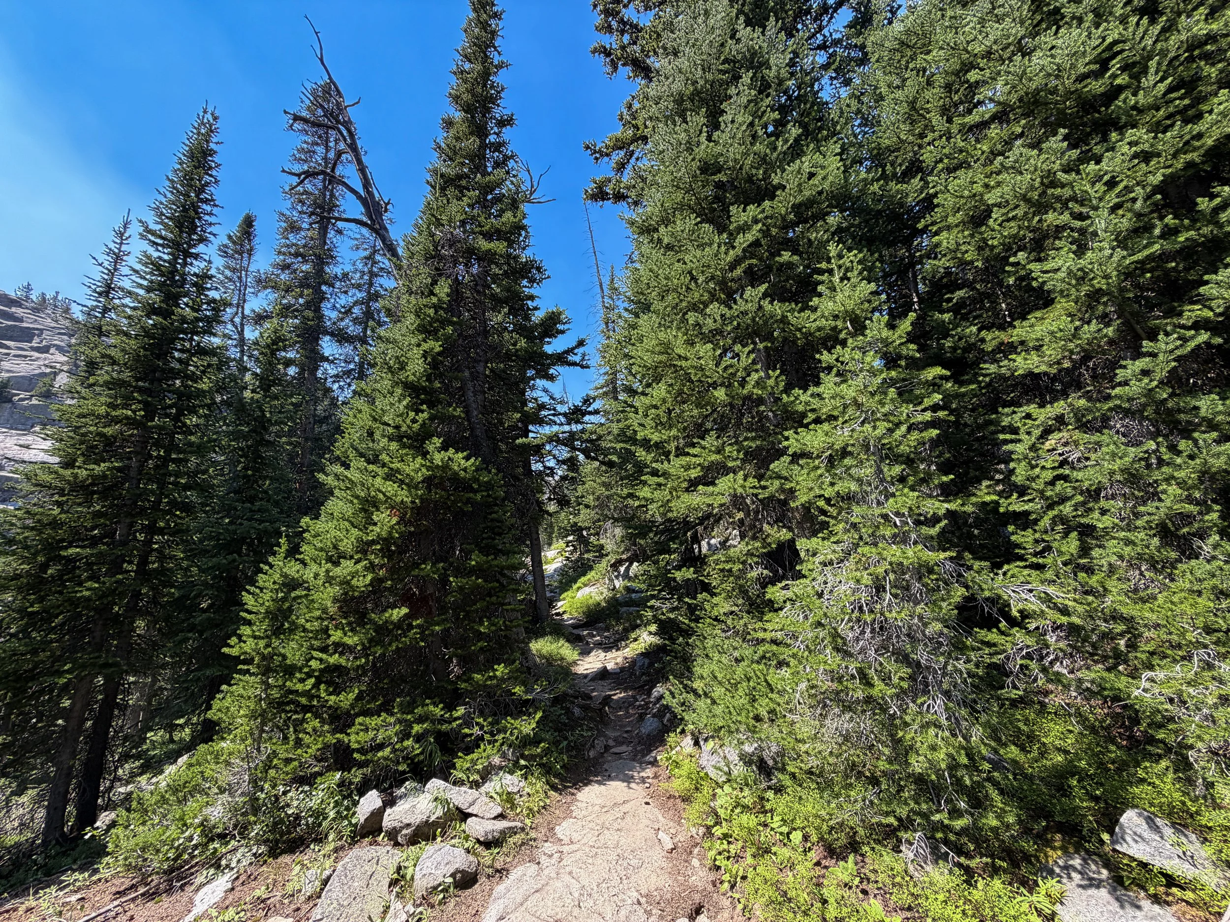 East Rosebud Trail The Beaten Path Beartooth Mountains Montana