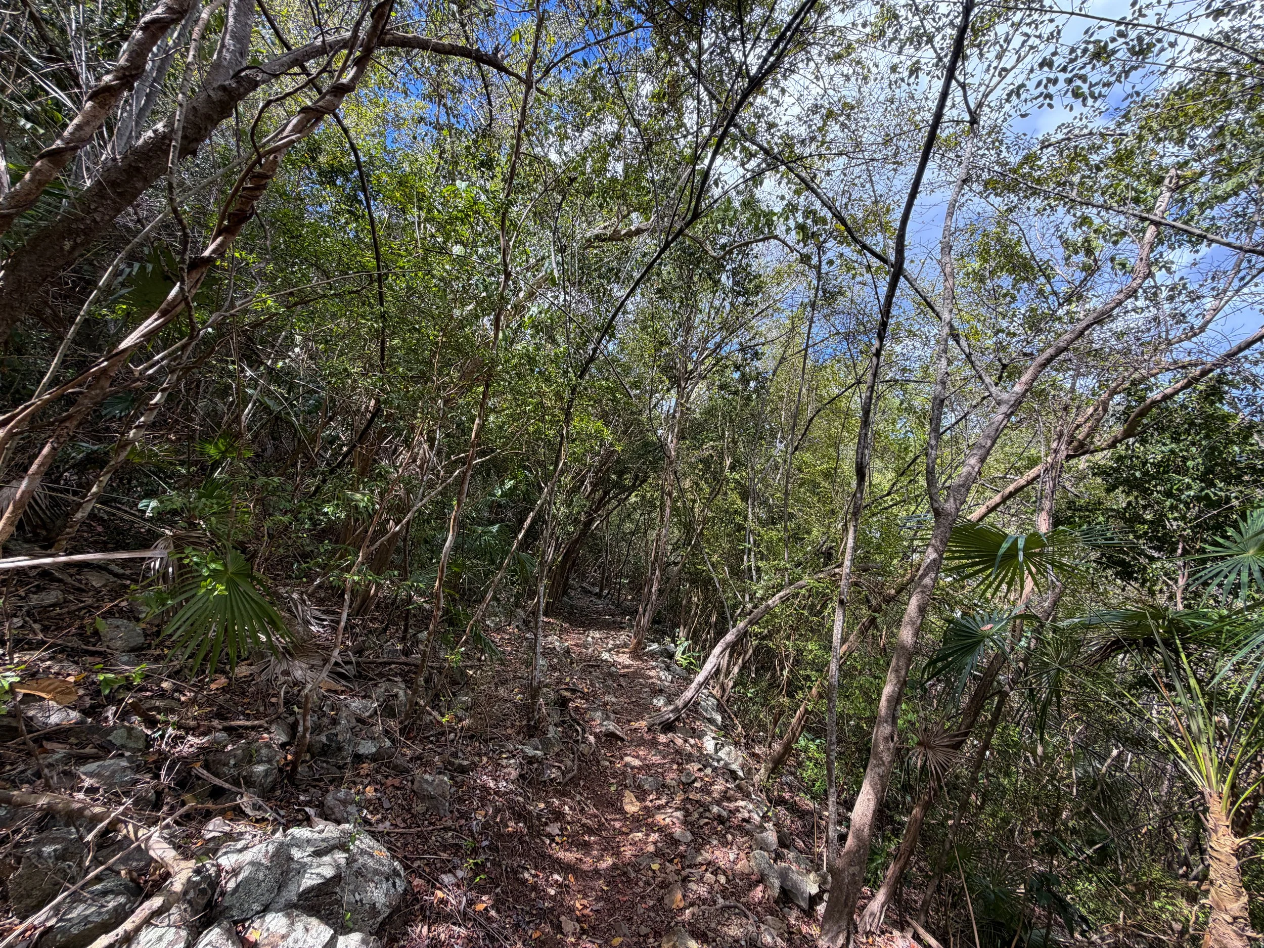 Maria Hope Trail Virgin Islands National Park