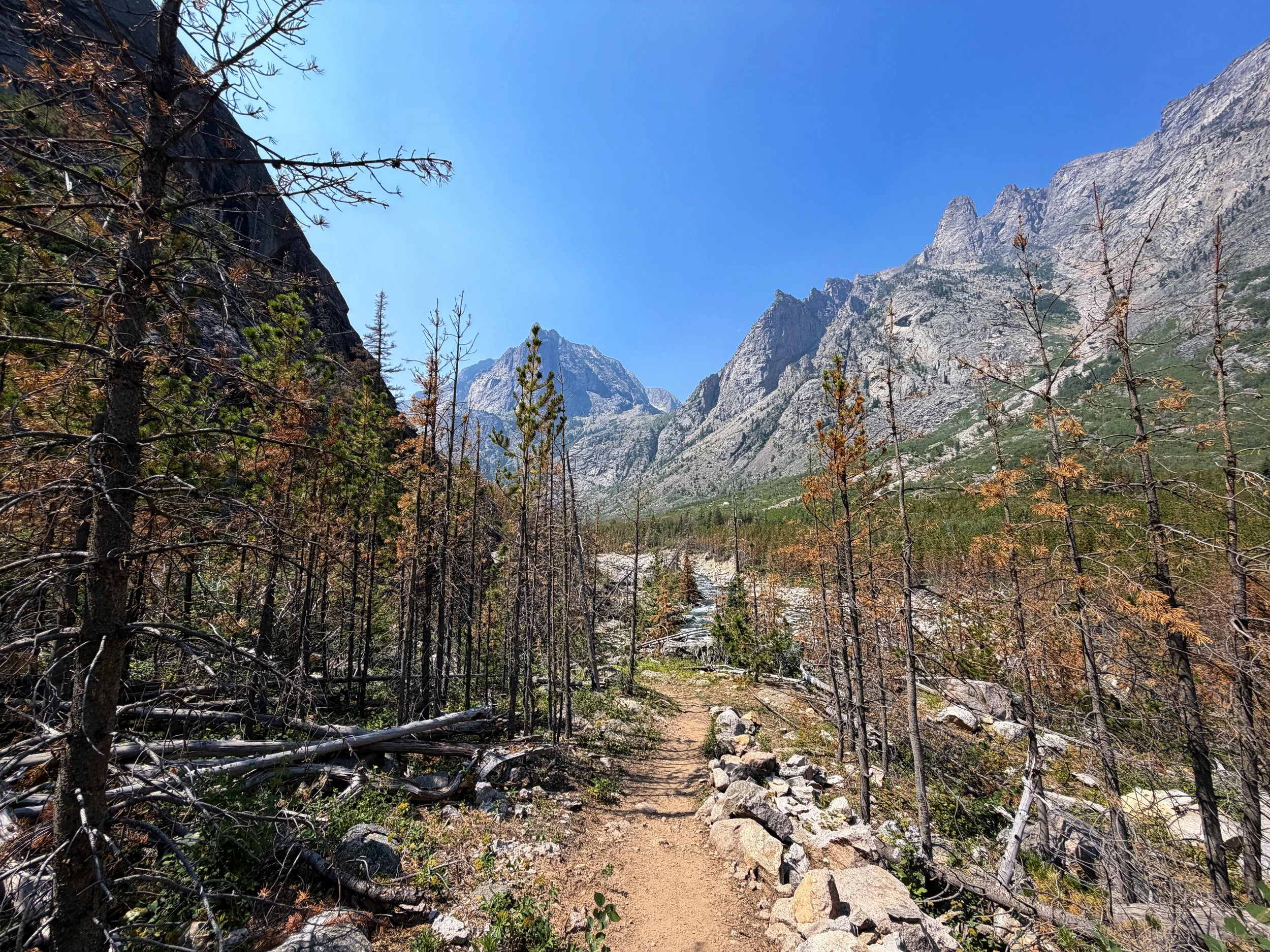 East Rosebud Trail Beaten Path Beartooth Mountains Montana