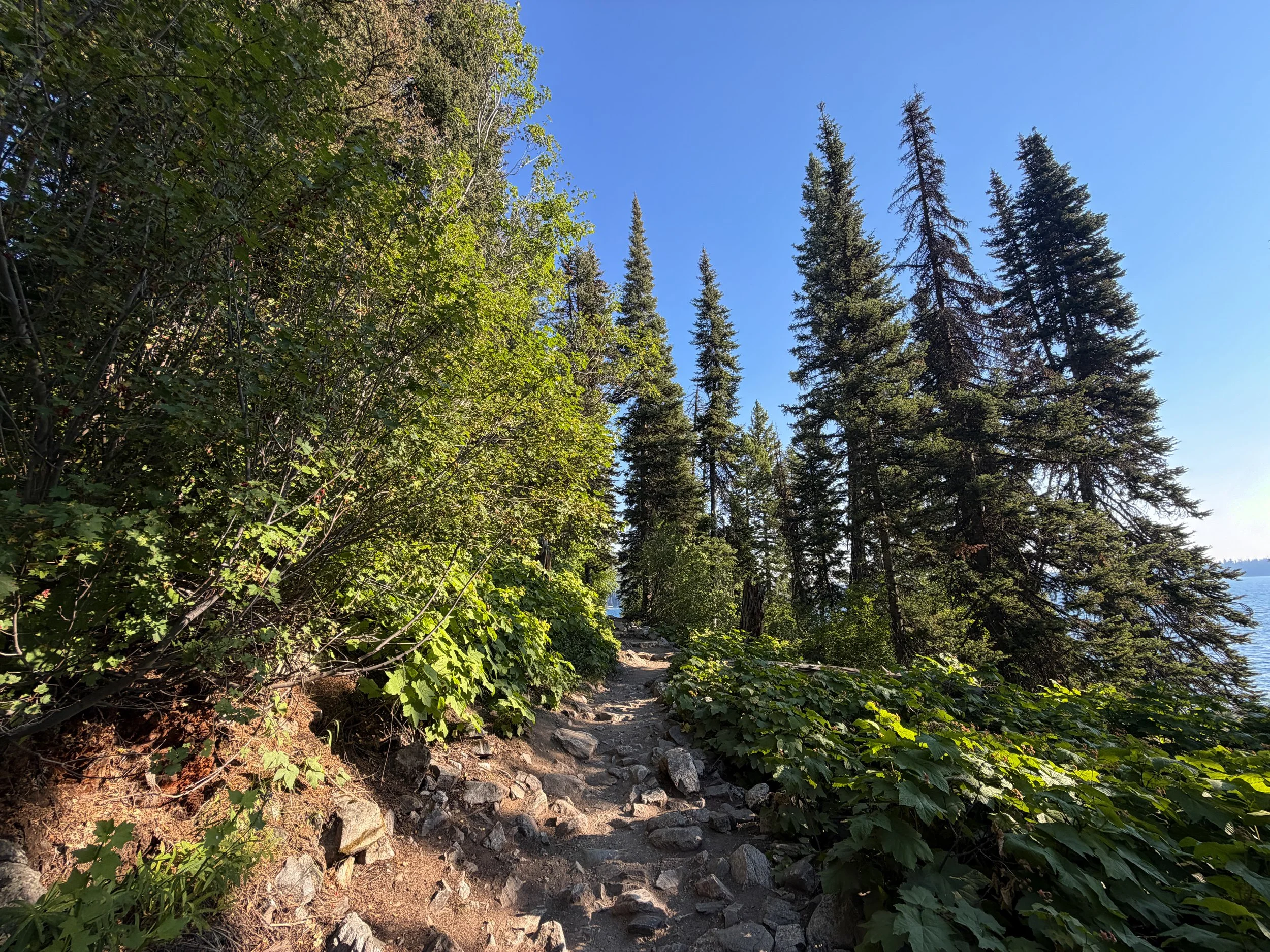 Hidden Falls Trail Grand Teton National Park Wyoming