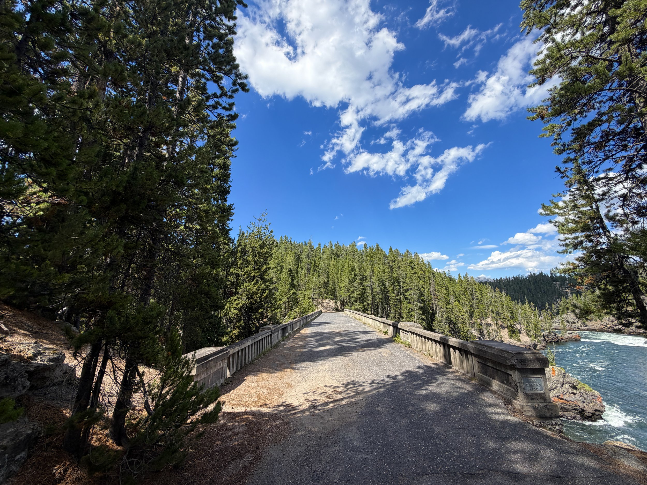 Canyon Bridge North Rim Trail Yellowstone National Park Wyoming