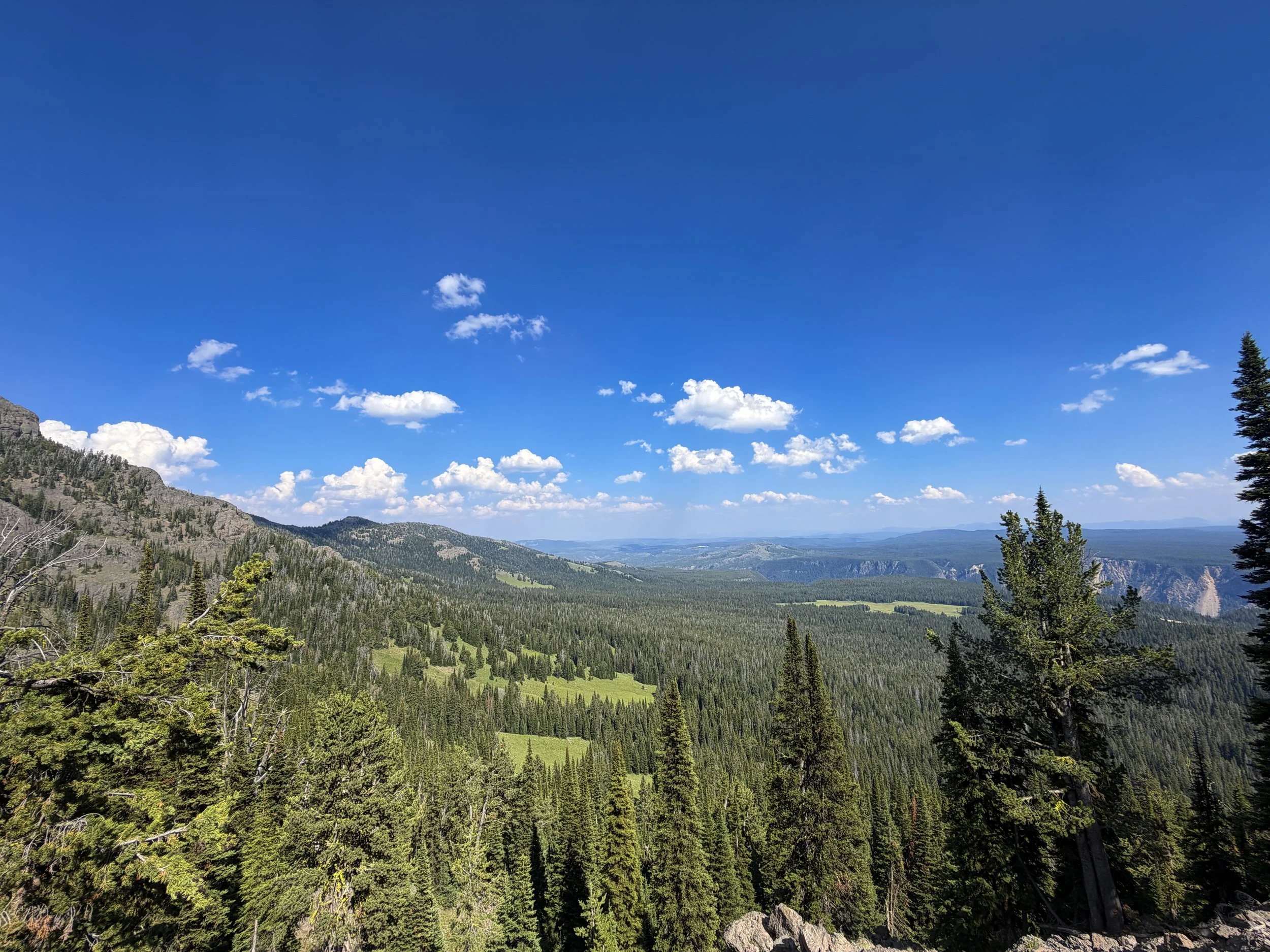 Mt. Washburn Trail via Dunraven Pass Yellowstone National Park Wyoming