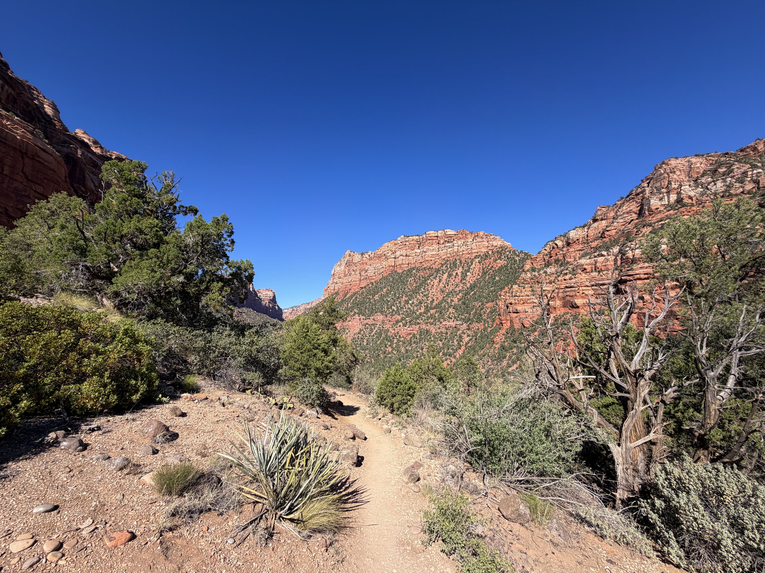 Left Fork Trail to the Subway Zion National Park Utah