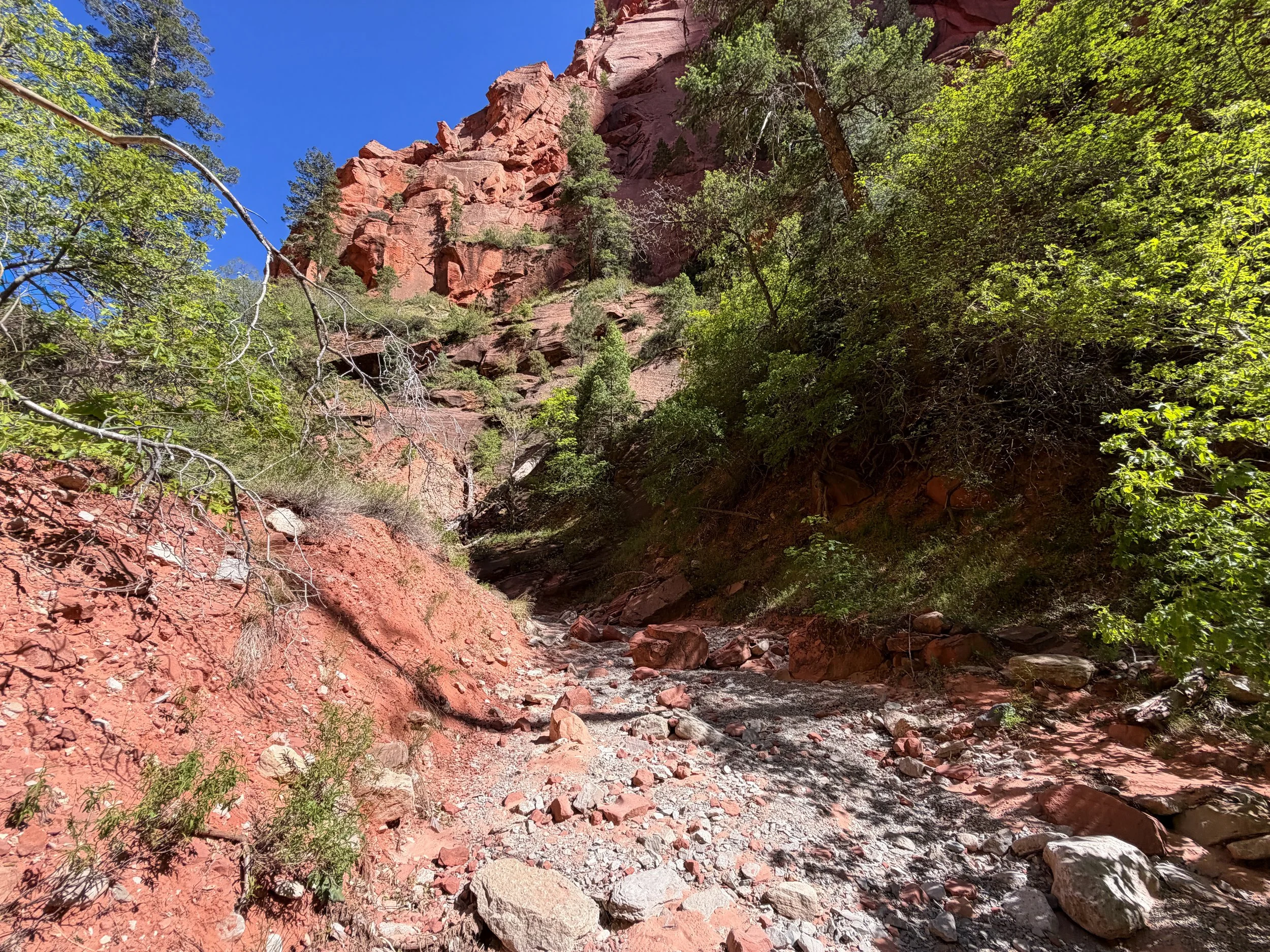Taylor Creek Trail Zion National Park Utah