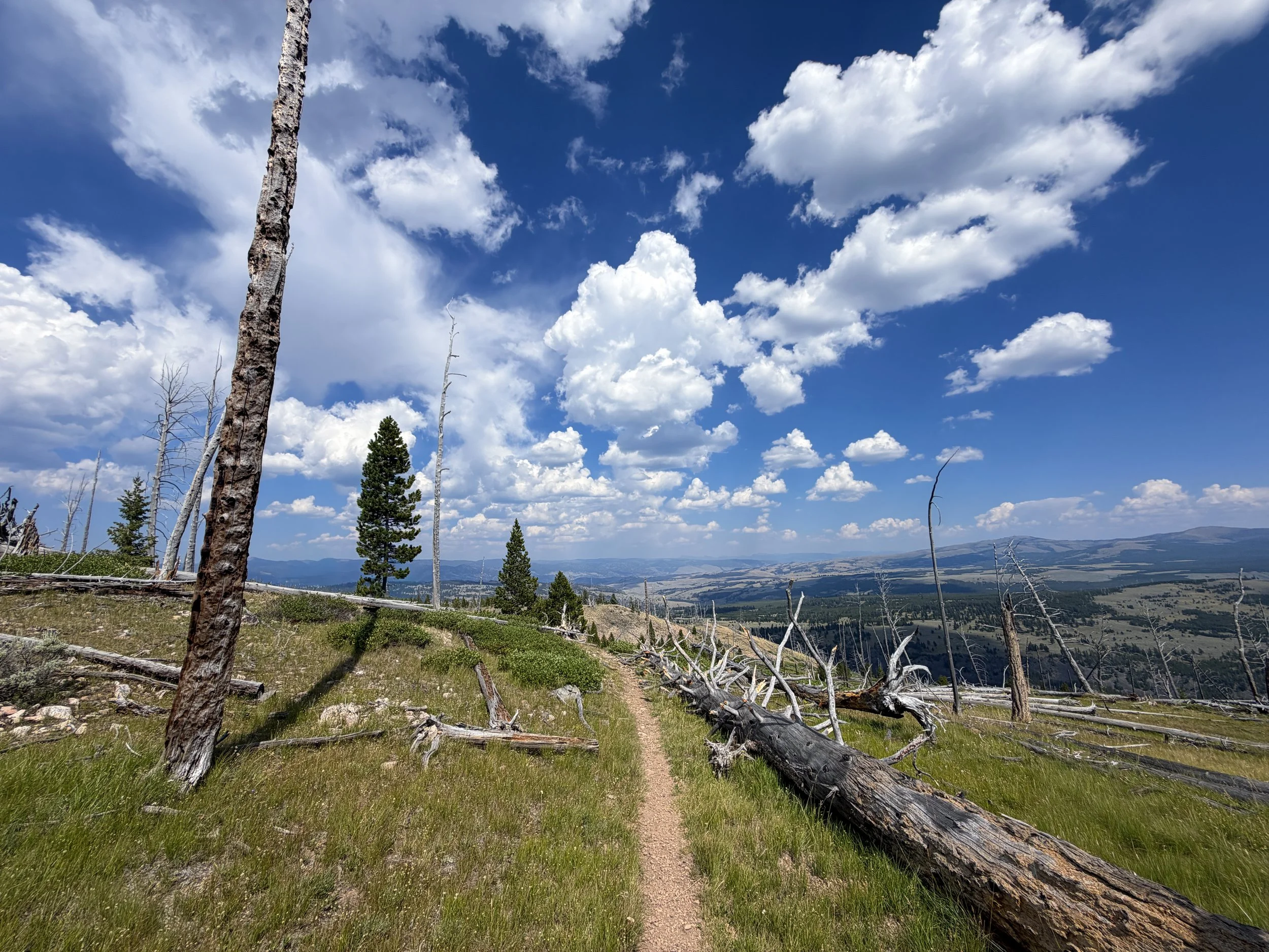 Bunsen Peak Trail to Osprey Falls Yellowstone National Park Wyoming