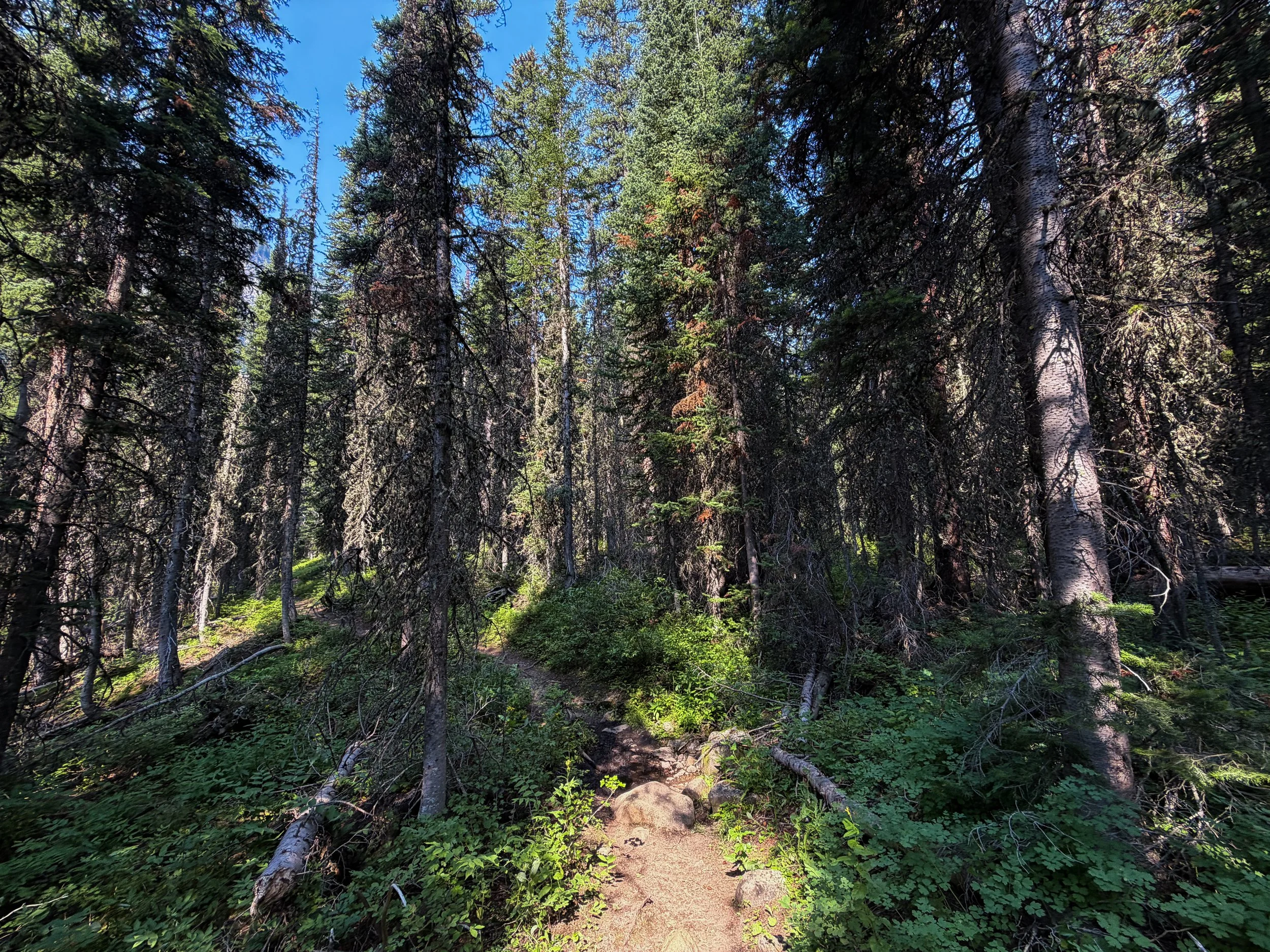 East Rosebud Trail The Beaten Path Beartooth Mountains Montana