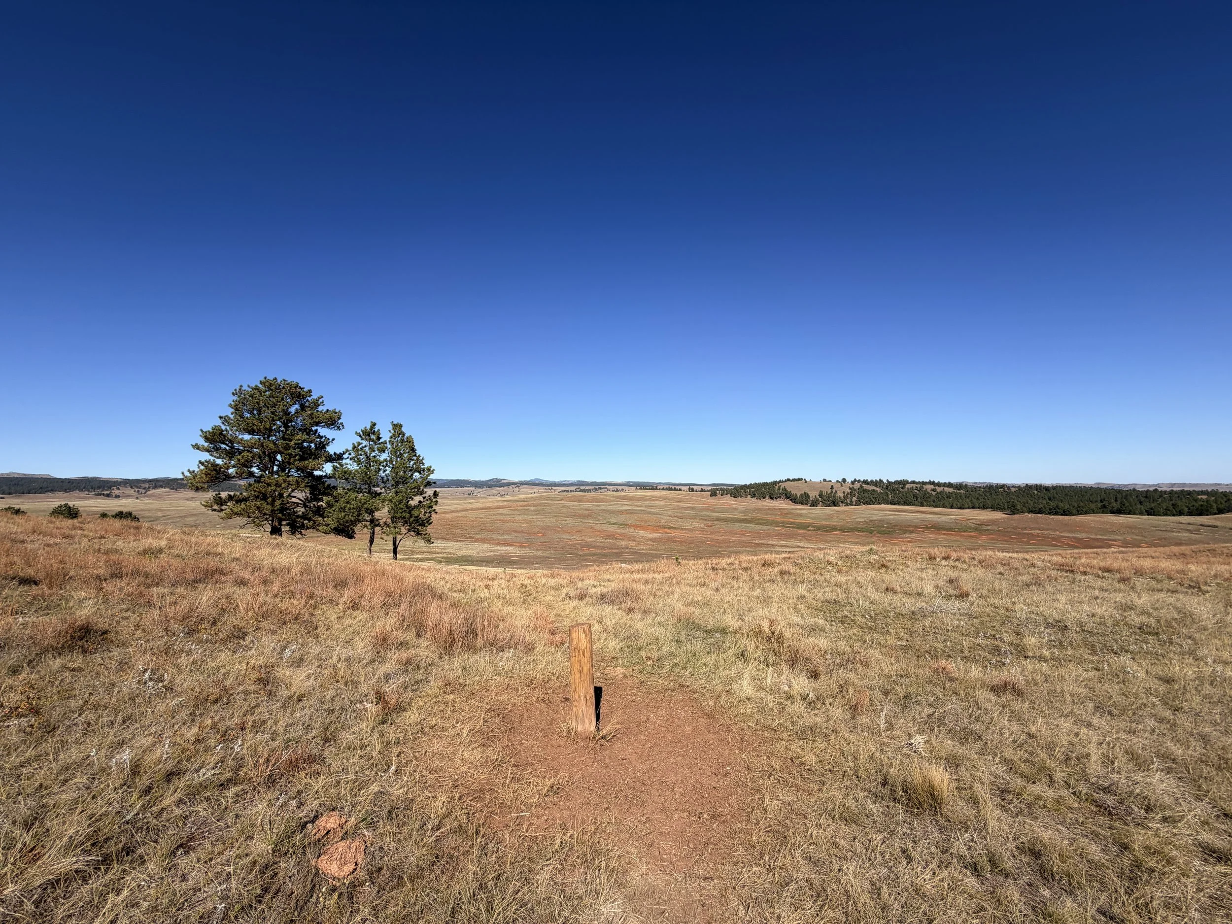 East Bison Flats Hike Wind Cave National Park South Dakota