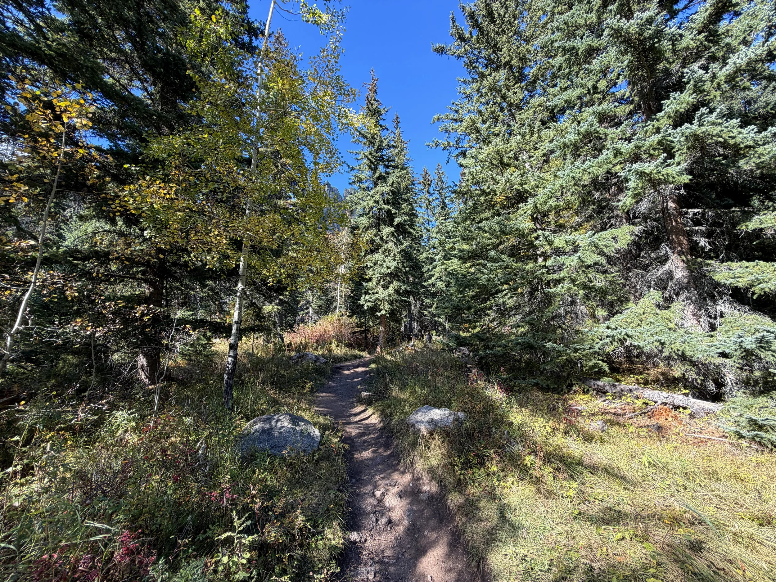 Cathedral Spires Hike Custer State Park Black Hills South Dakota