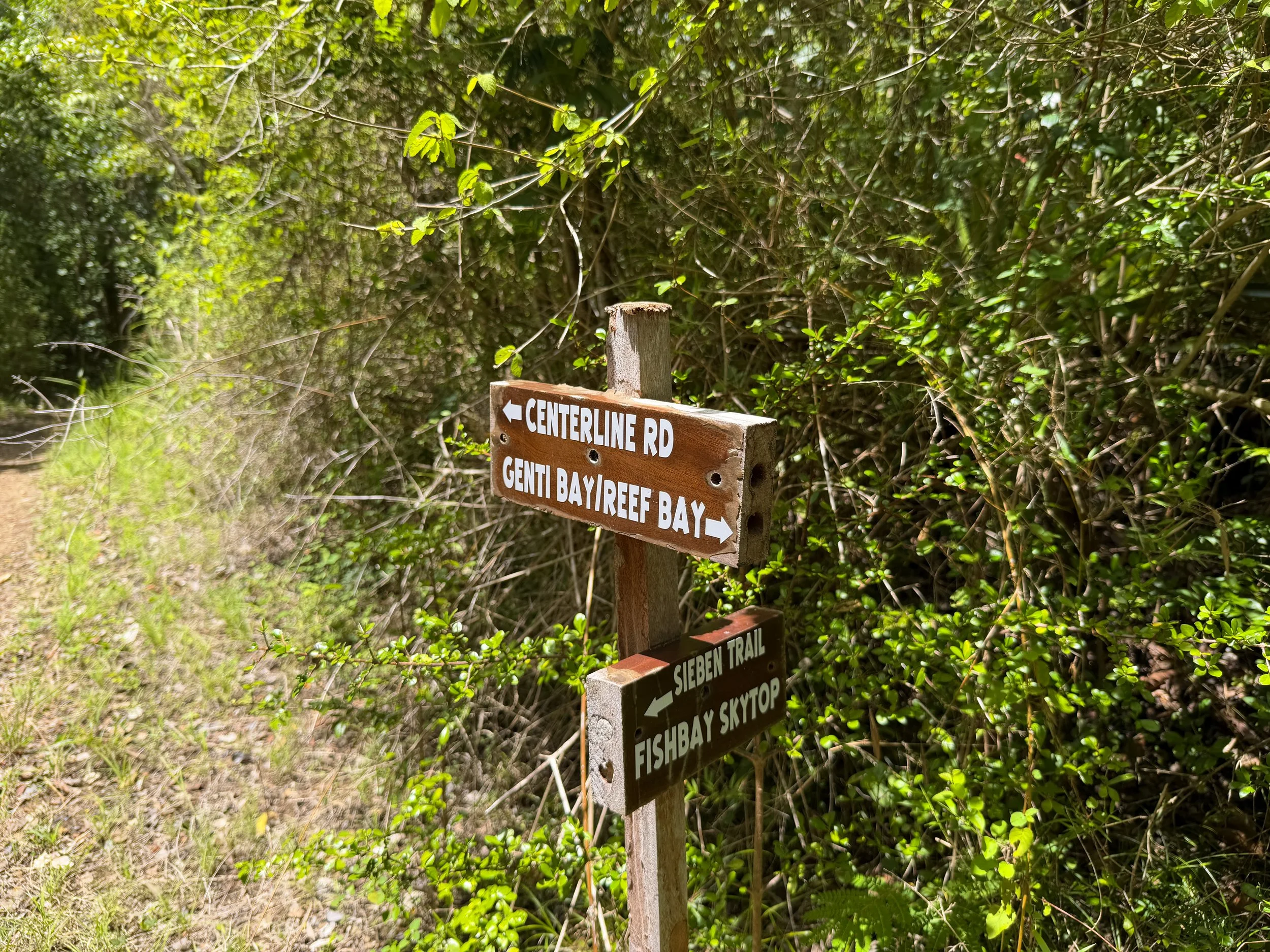 L'Esperance Trail to Great Sieben Trail Virgin Islands National Park