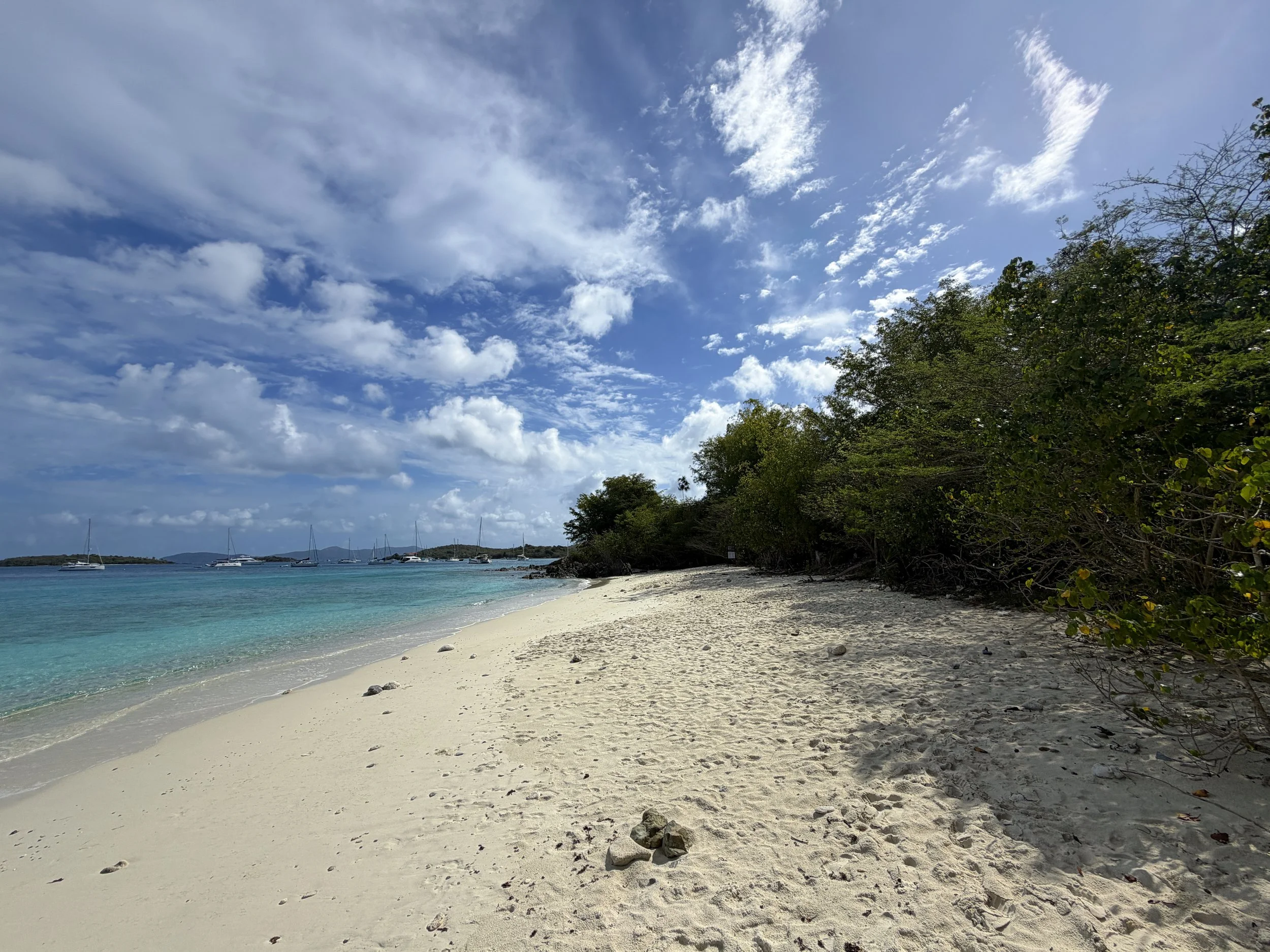 Salomon Beach Lind Point Trail Virgin Islands National Park
