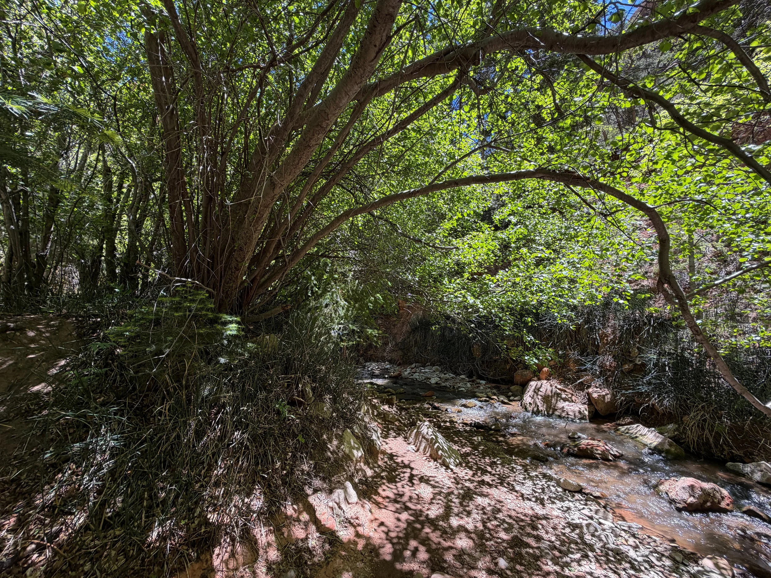 Kanarra Falls Trail Kanarraville Utah