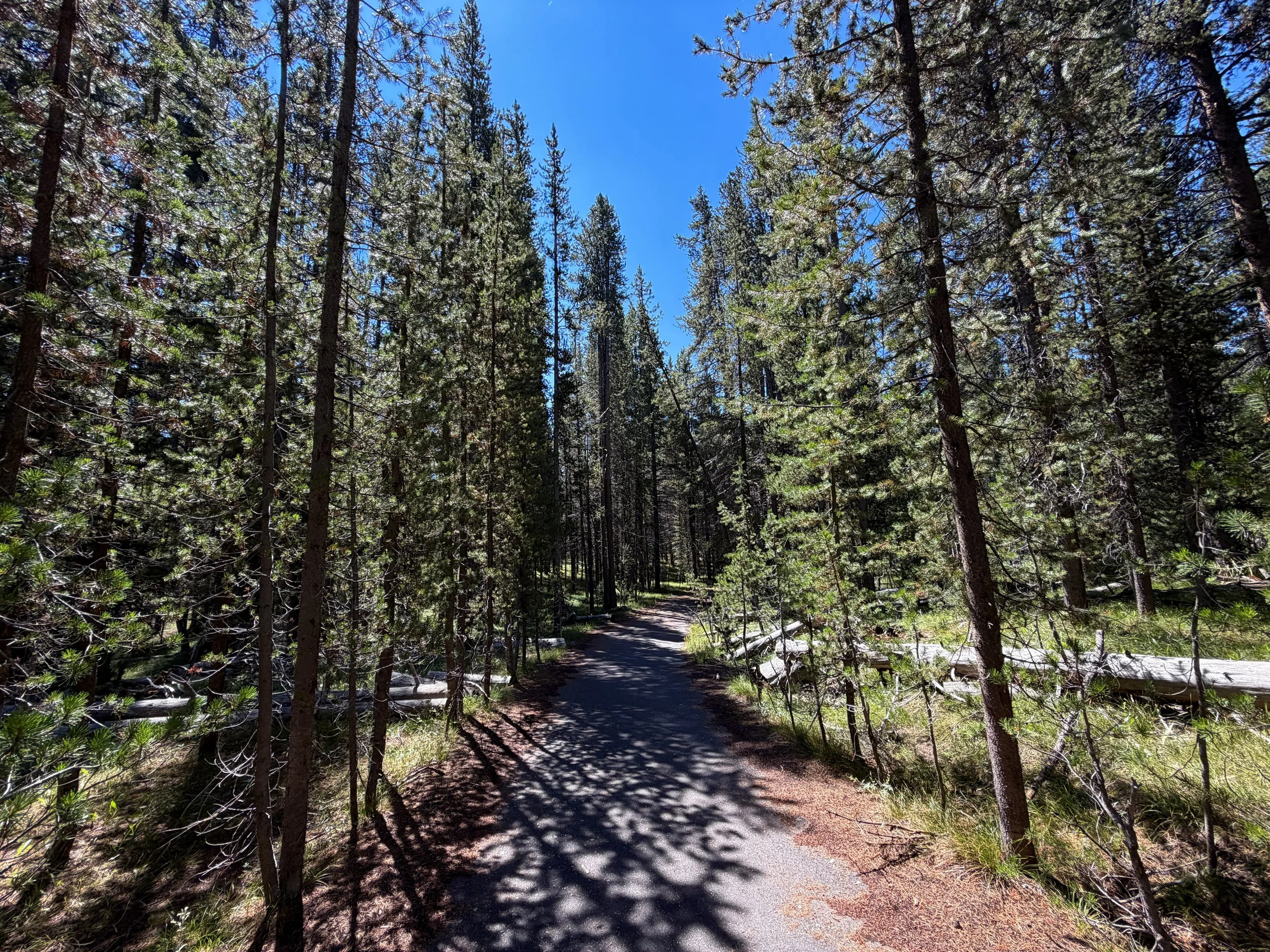 Lone Star Trail Yellowstone National Park Wyoming