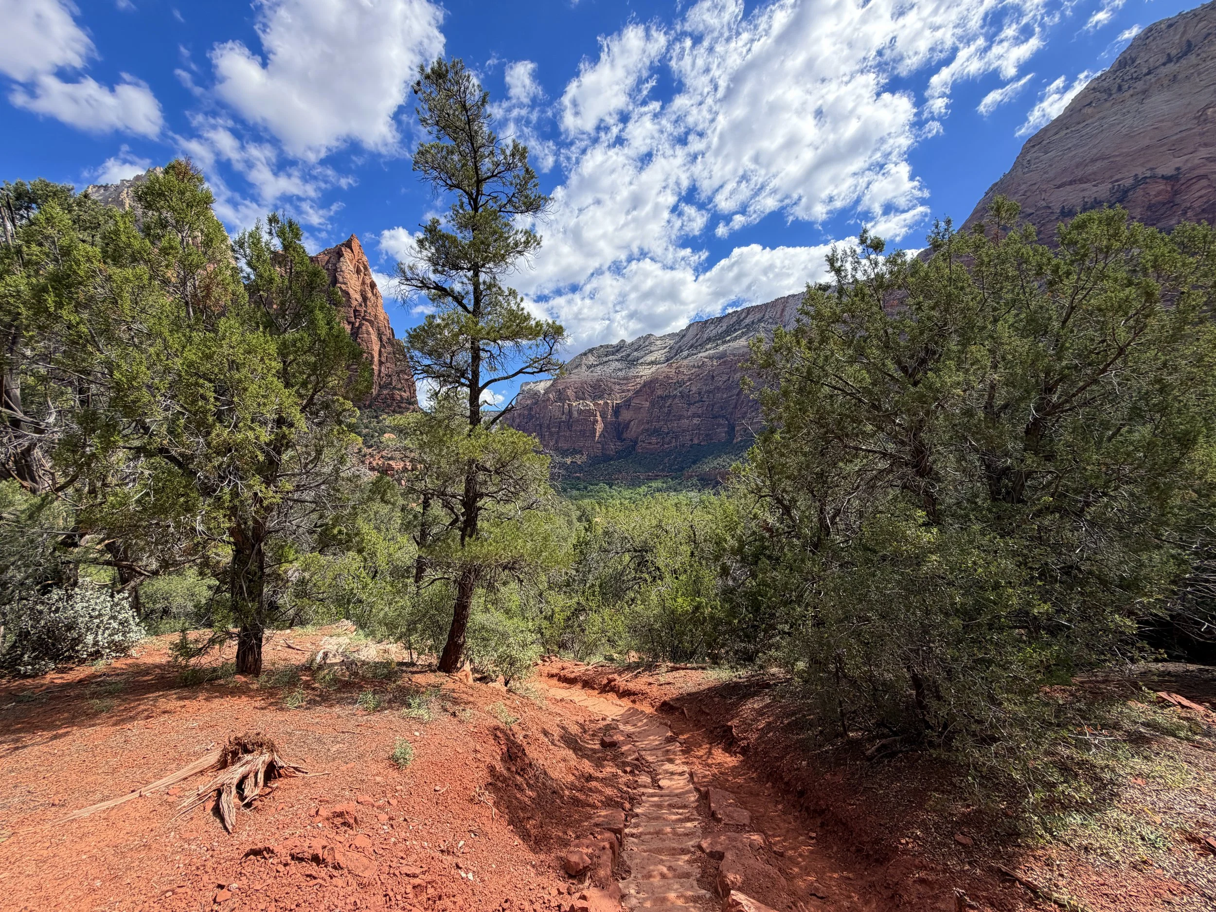 Sand Bench Trail Zion National Park Utah