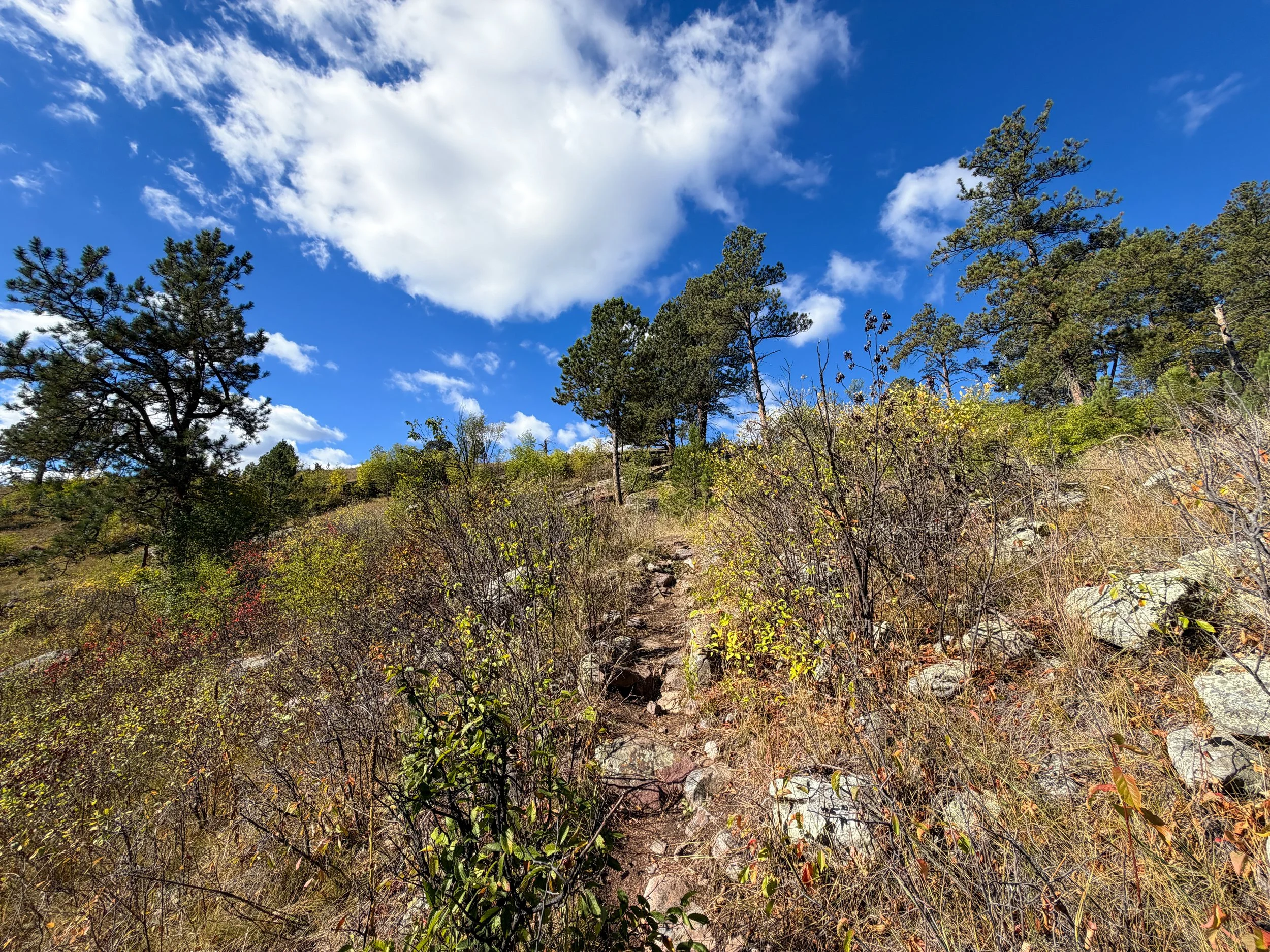 Lookout Point Loop Trail Wind Cave National Park South Dakota