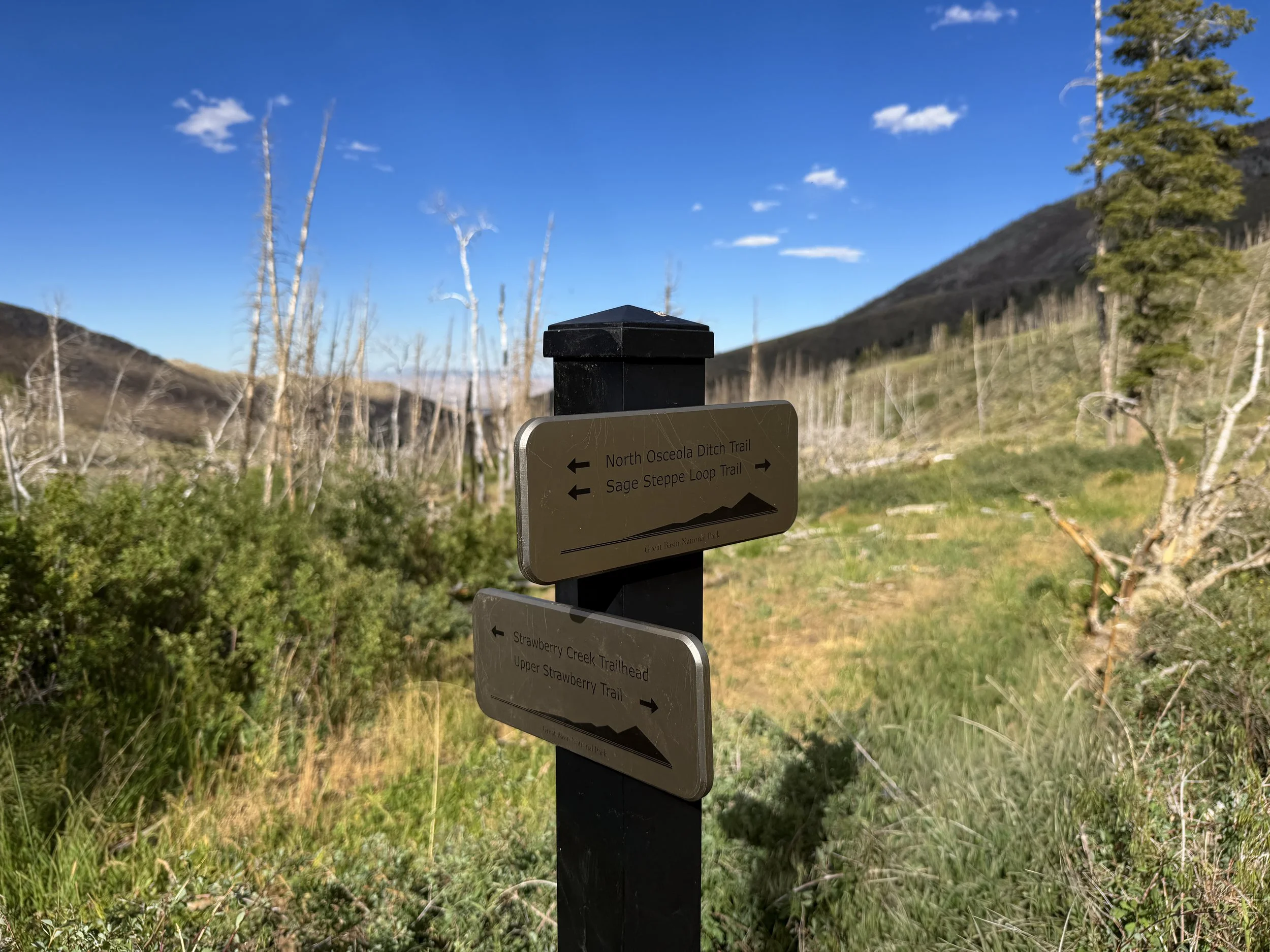 Upper Strawberry Trail Great Basin National Park Nevada