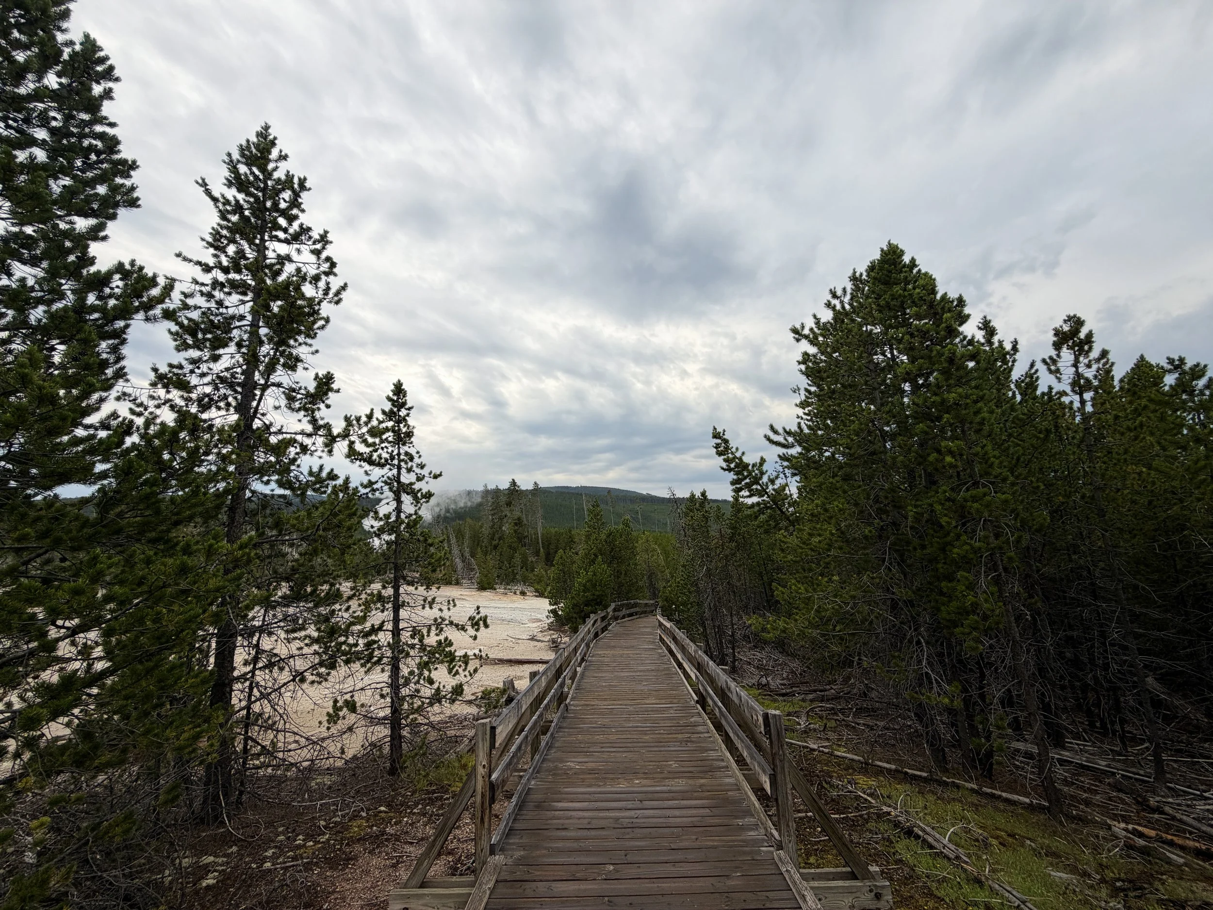Norris Geyser Basin Trail Yellowstone National Park Wyoming