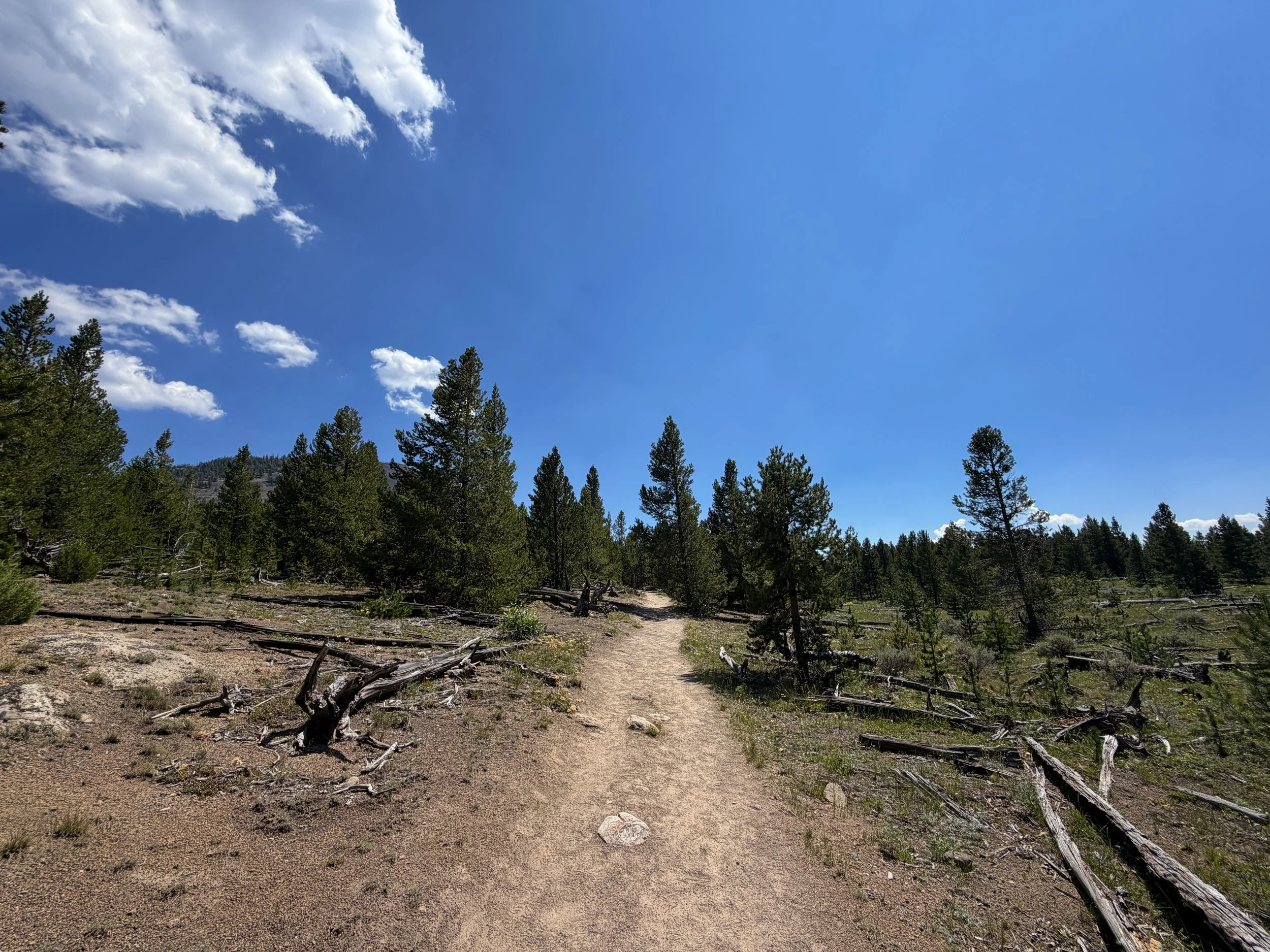 Bunsen Peak Trail Yellowstone National Park Wyoming