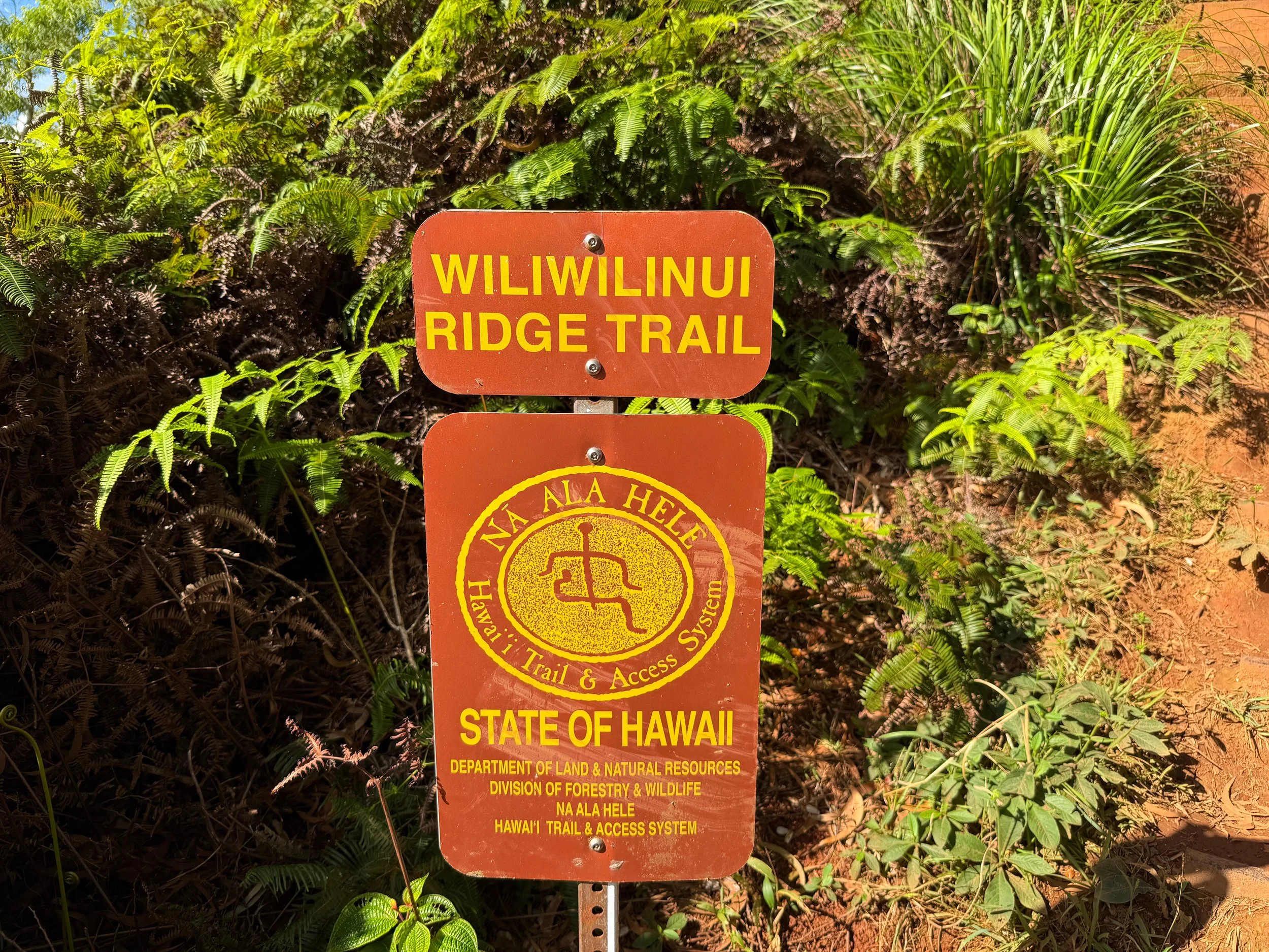 Wiliwilinui Ridge Trail Oahu Hawaii