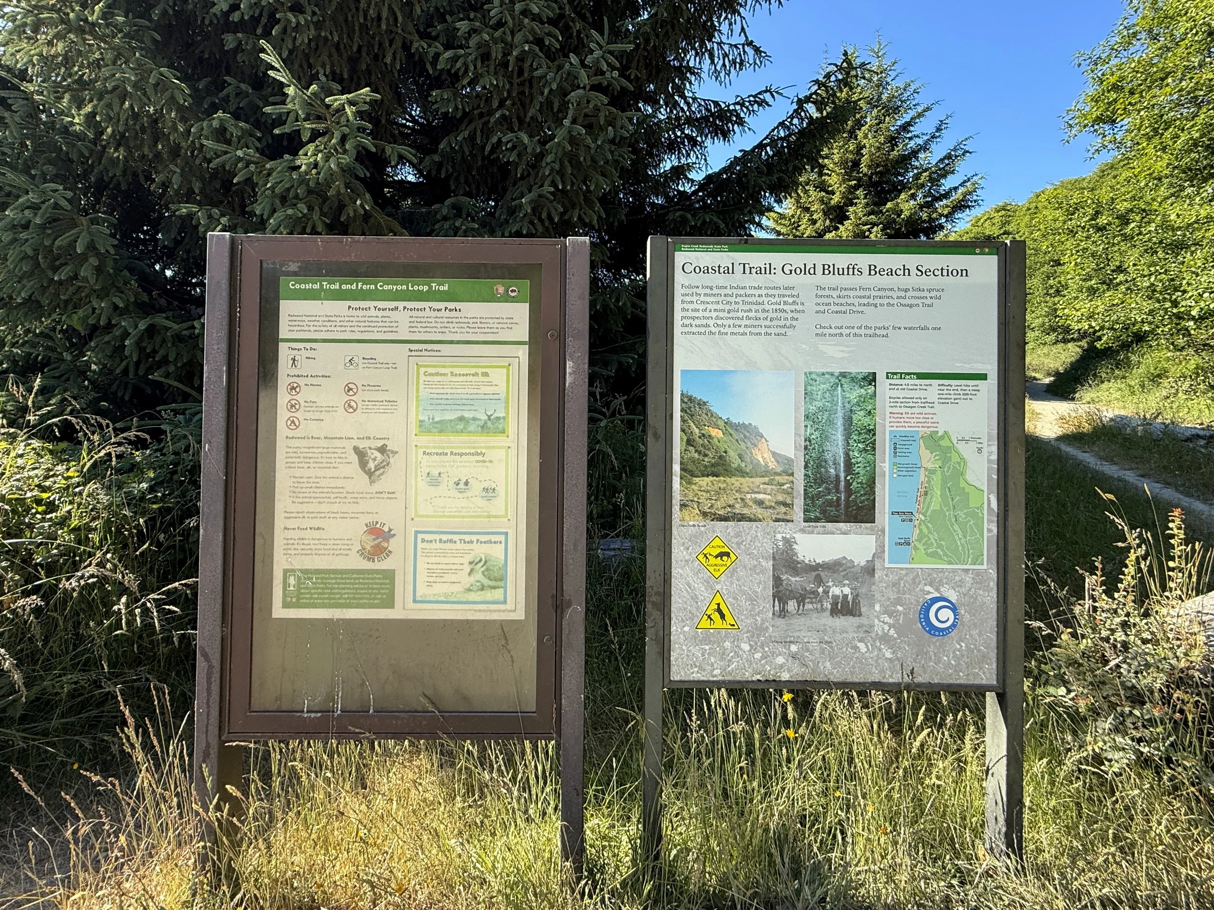Fern Canyon Loop Trailhead Prairie Creek Redwoods State Park California