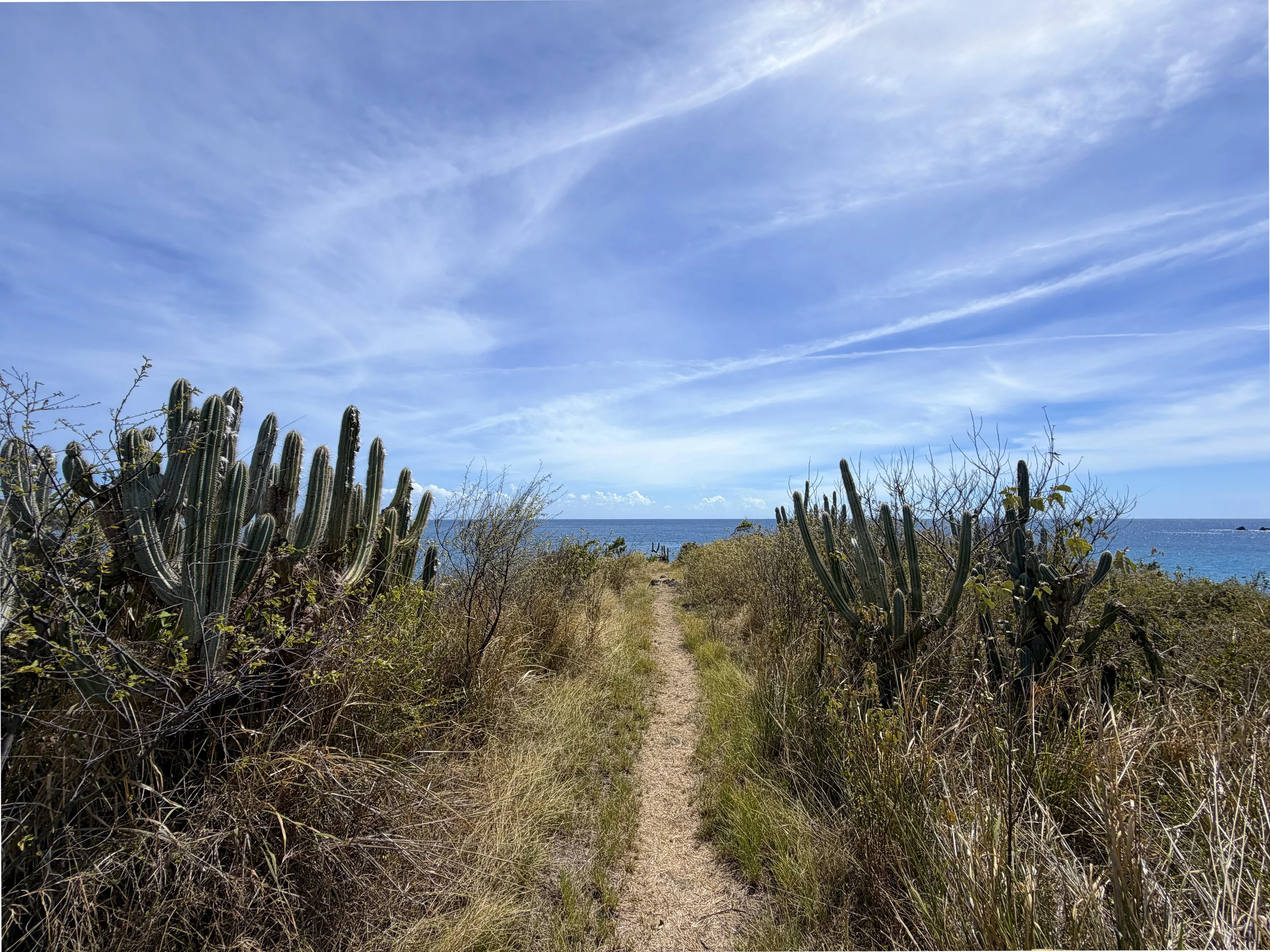 Yawzi Point Trail Virgin Islands National Park