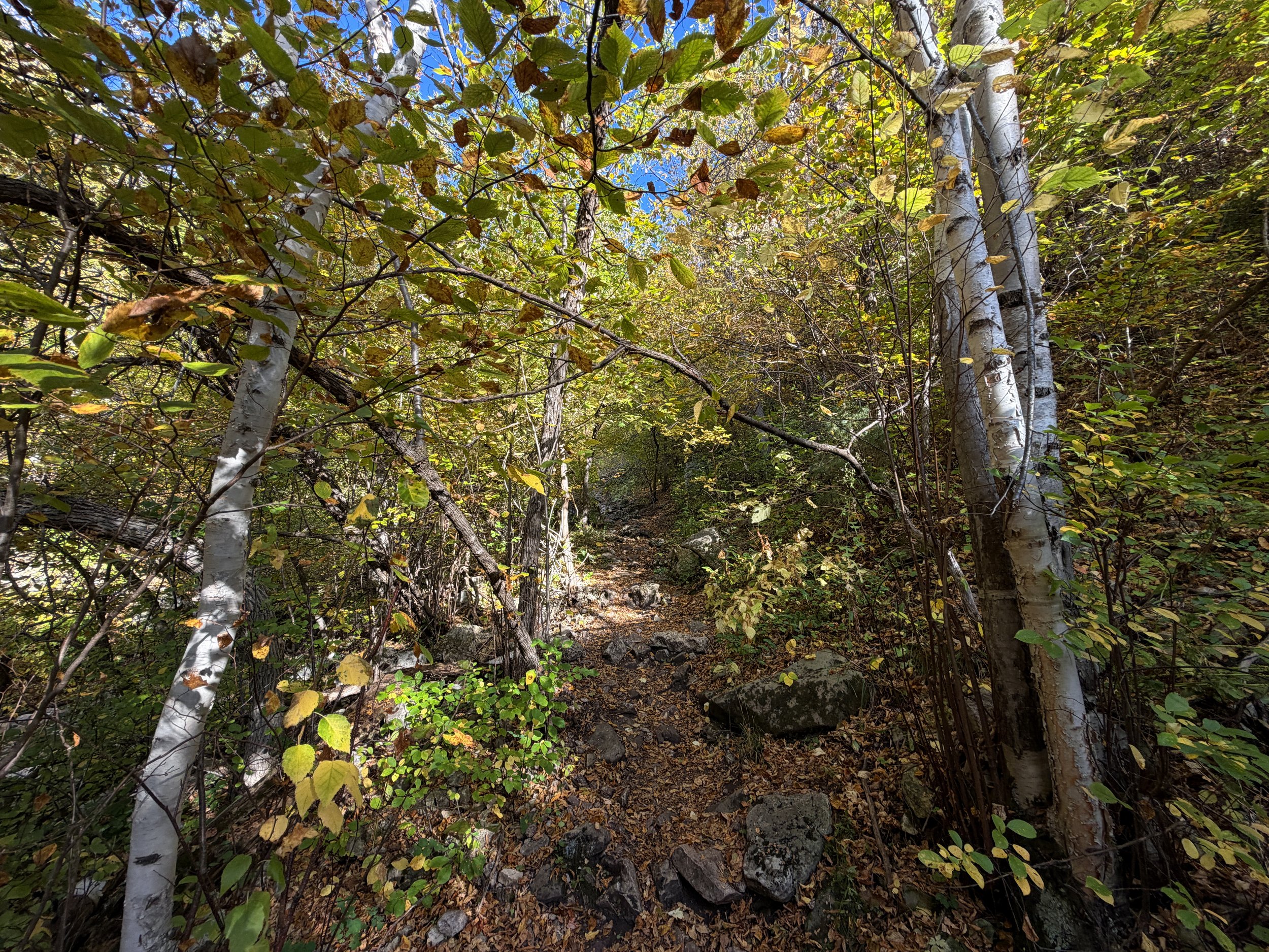 Community Caves Hike Spearfish Canyon Black Hills South Dakota