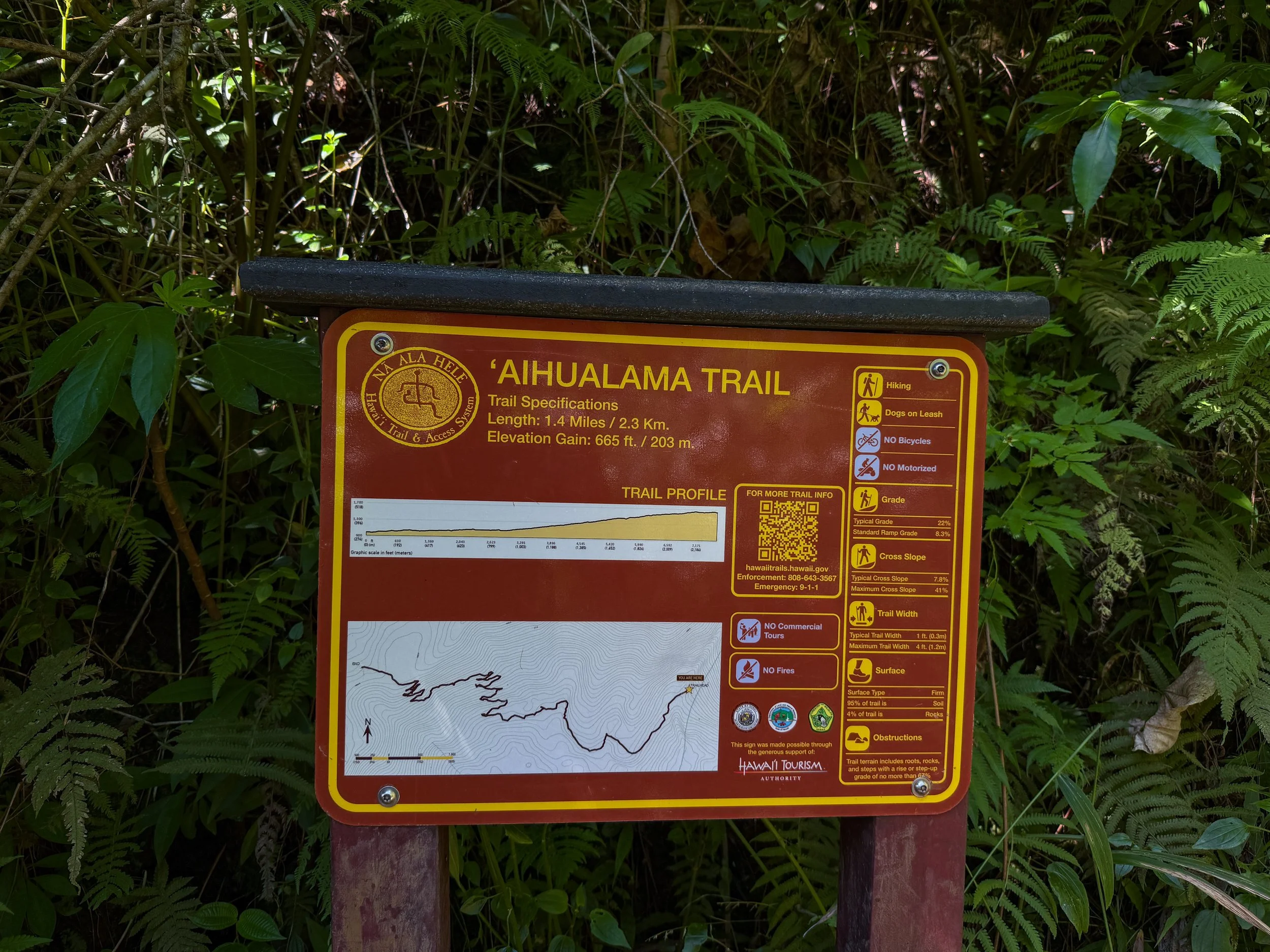 Manoa Falls Trail Oahu Hawaii