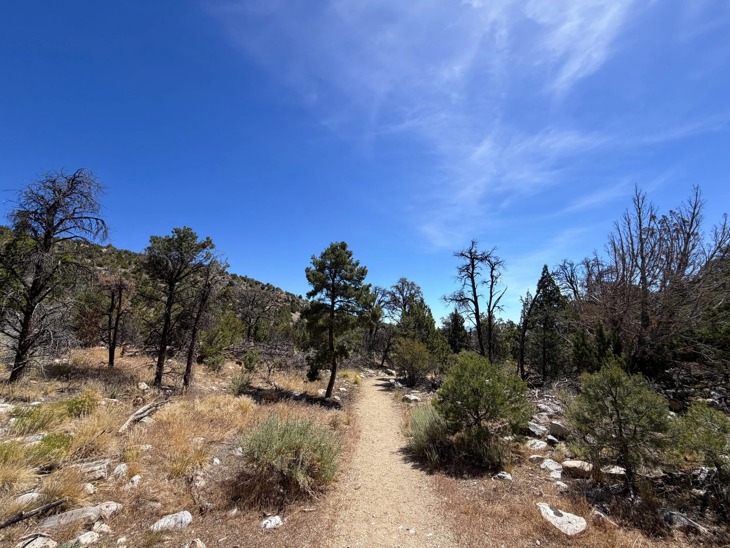 Pole Canyon Loop Trail Great Basin National Park Nevada