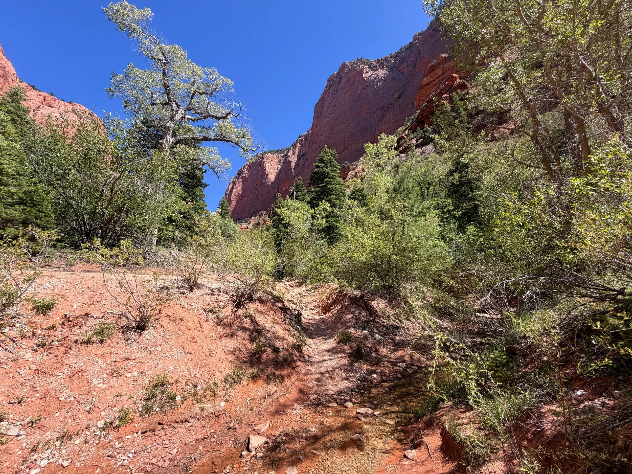 Taylor Creek Trail to Double Arch Alcove Zion National Park Utah