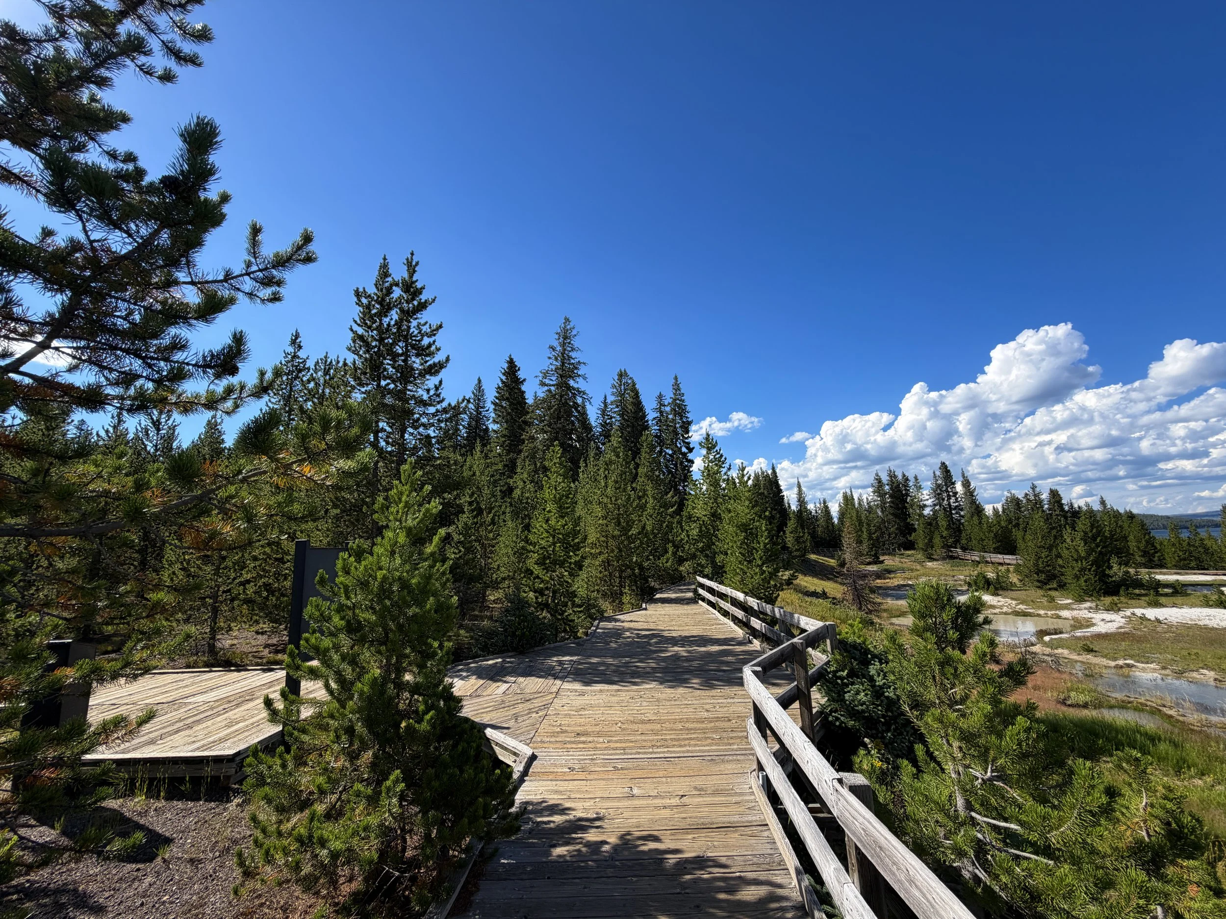 West Thumb Geyser Basin Trail Yellowstone National Park Wyoming
