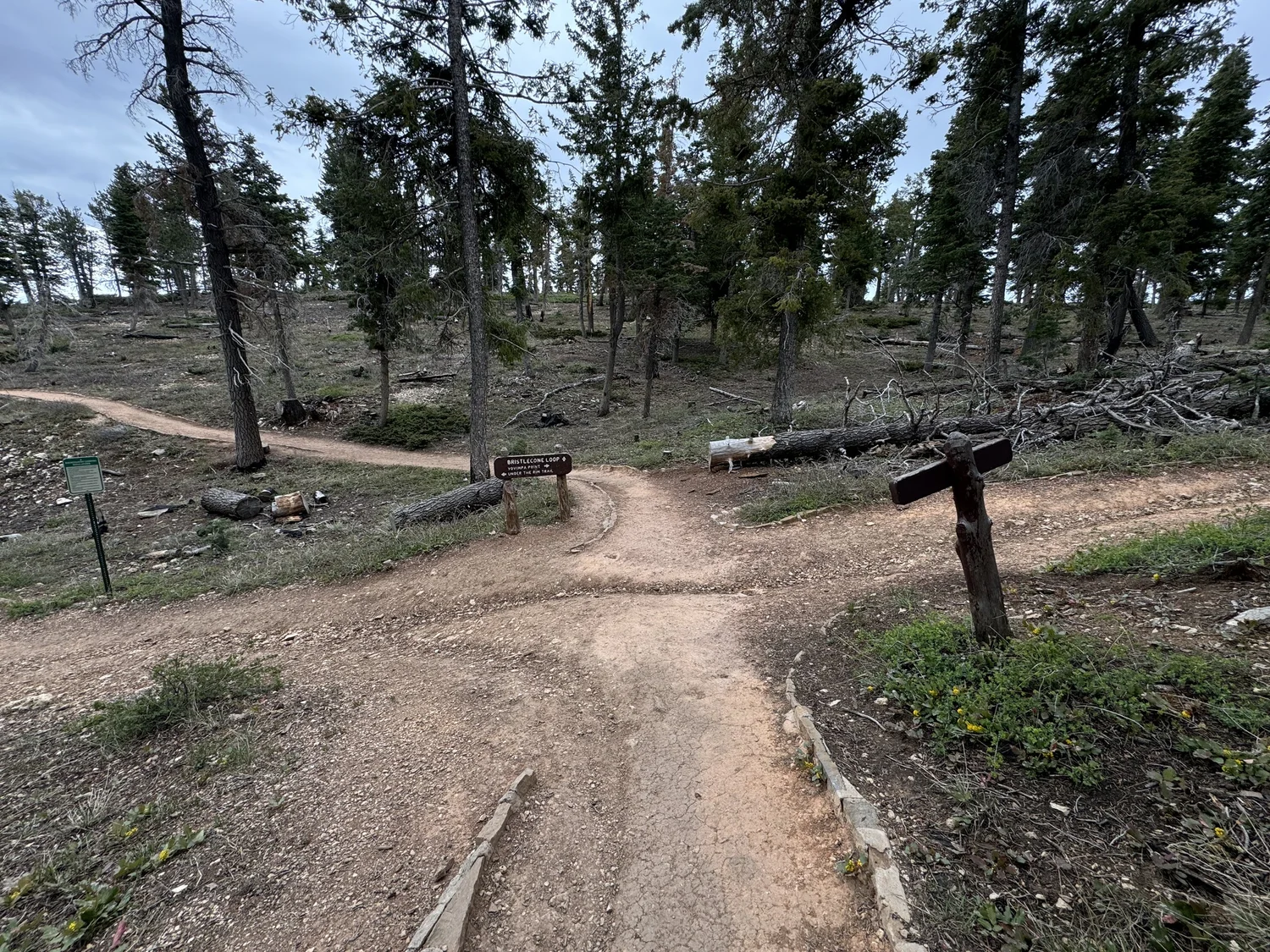 Hiking the Riggs Spring Loop Trail in Bryce Canyon National Park ...