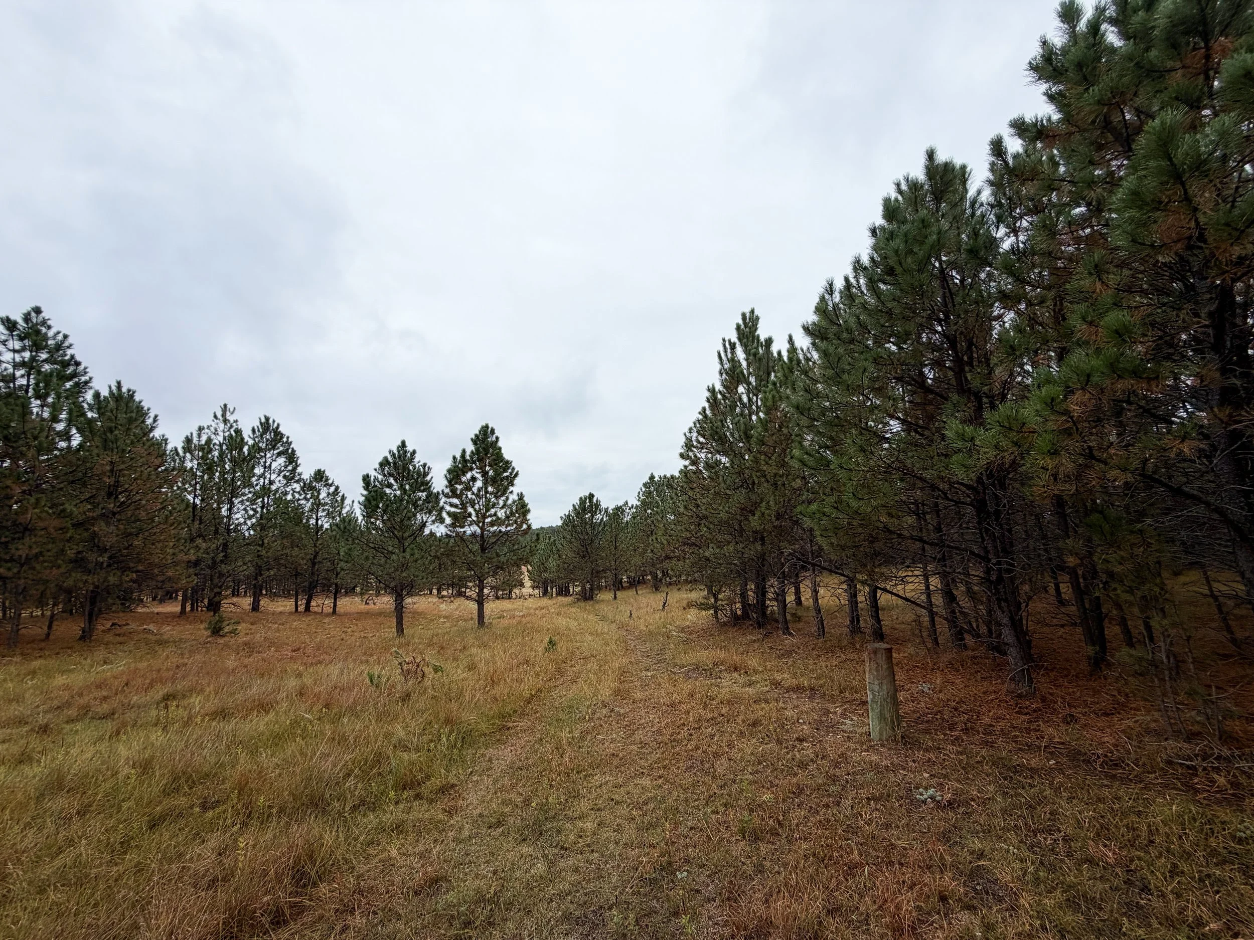 Highland Creek Hike Wind Cave National Park South Dakota