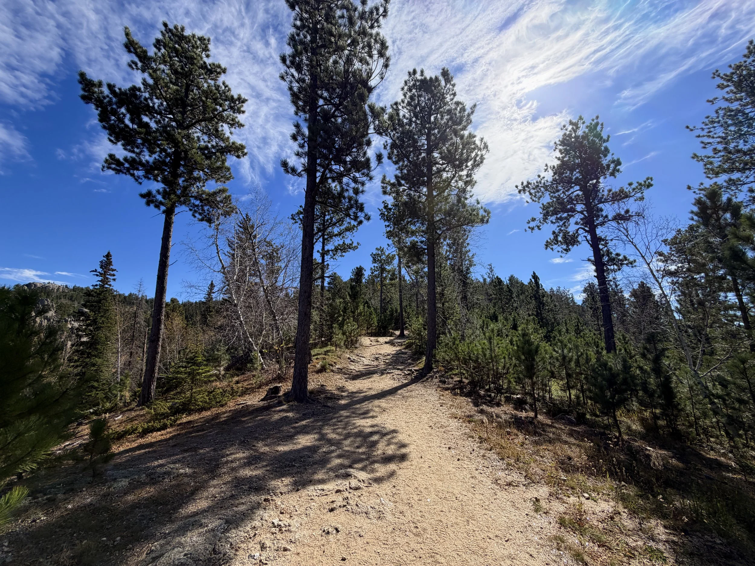 Black Elk Peak Hike Custer State Park Black Hills South Dakota