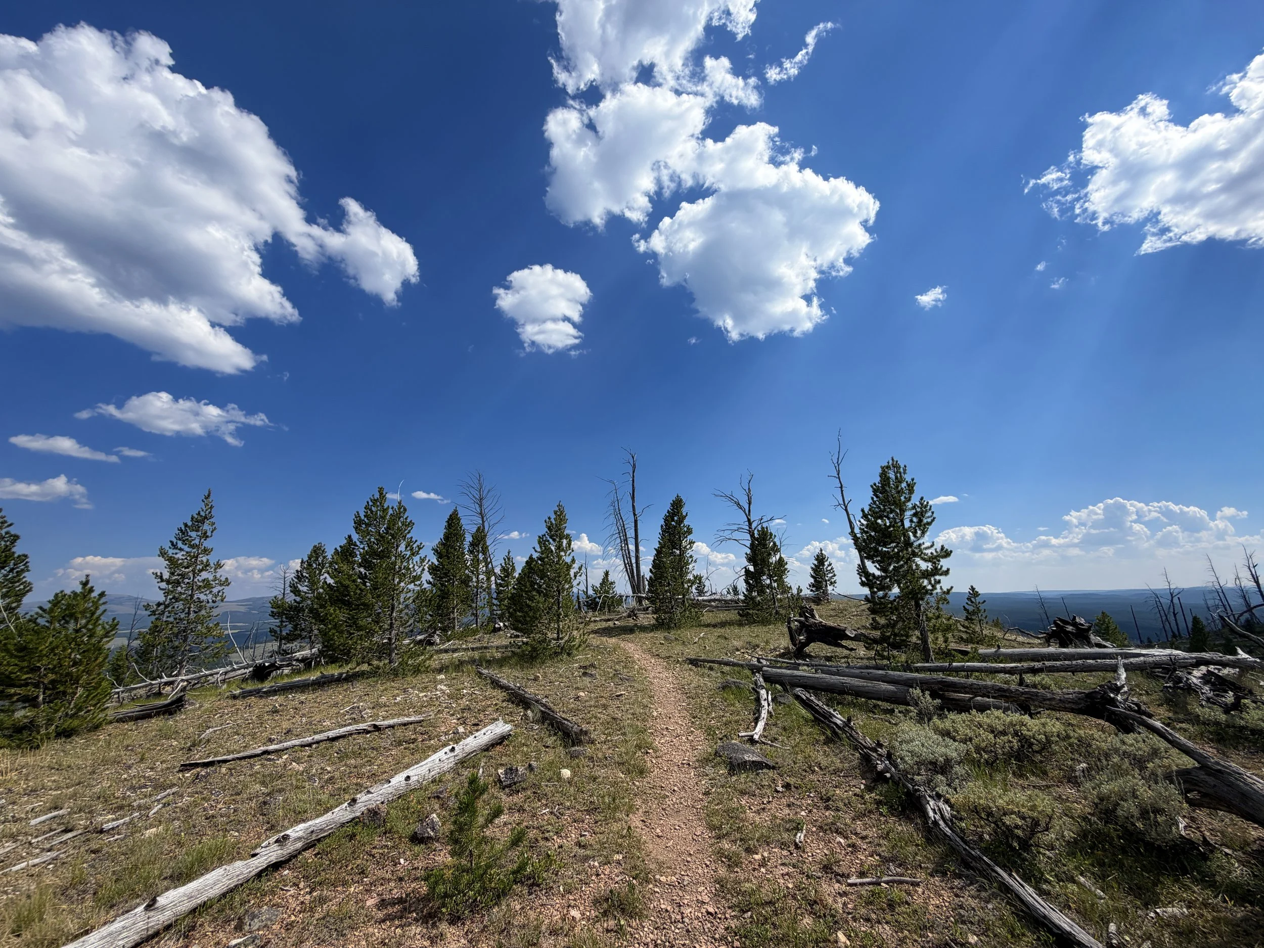 Bunsen Peak Trail Yellowstone National Park Wyoming