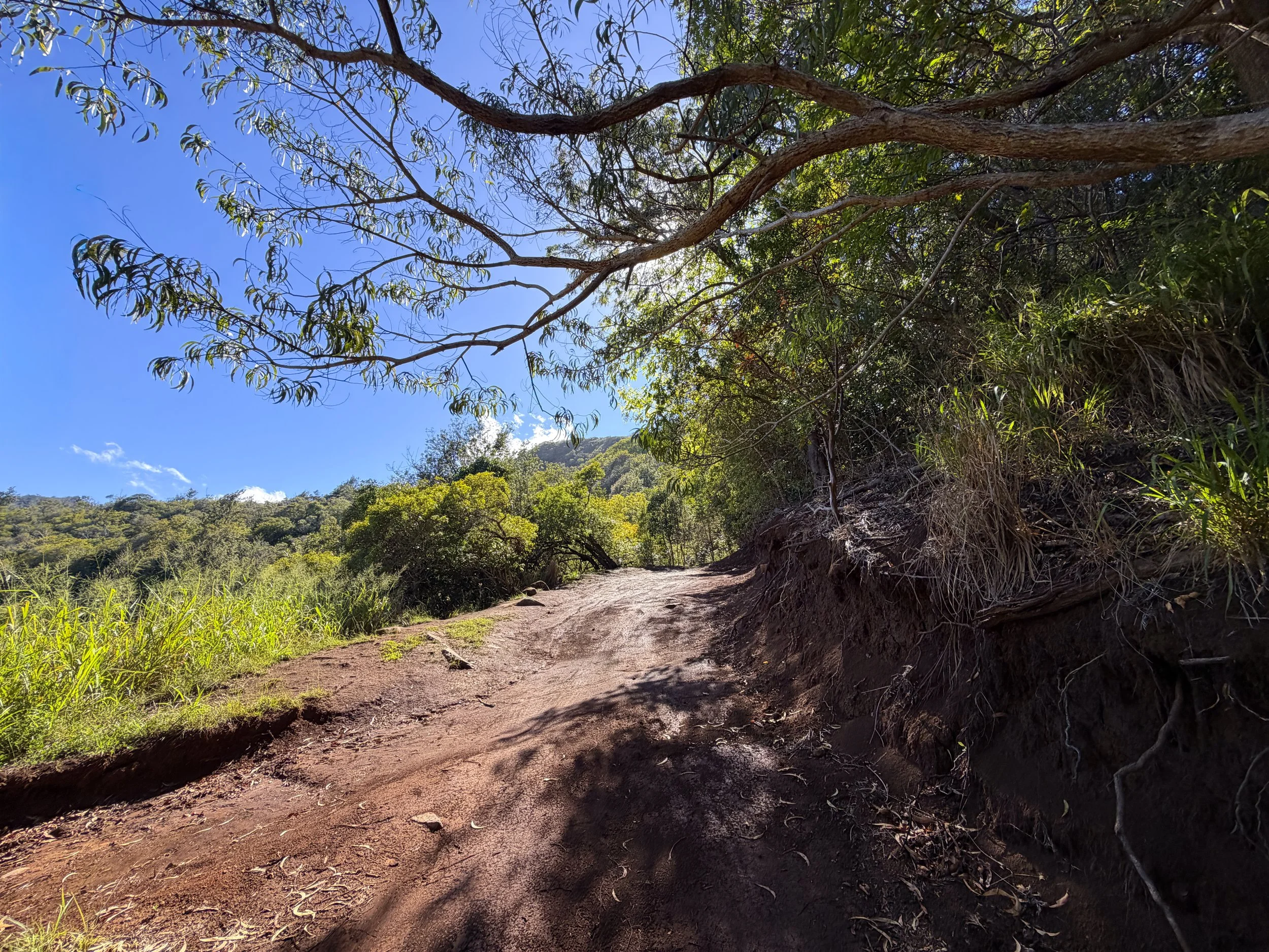 Mokuleia Trailhead Parking Oahu Hawaii