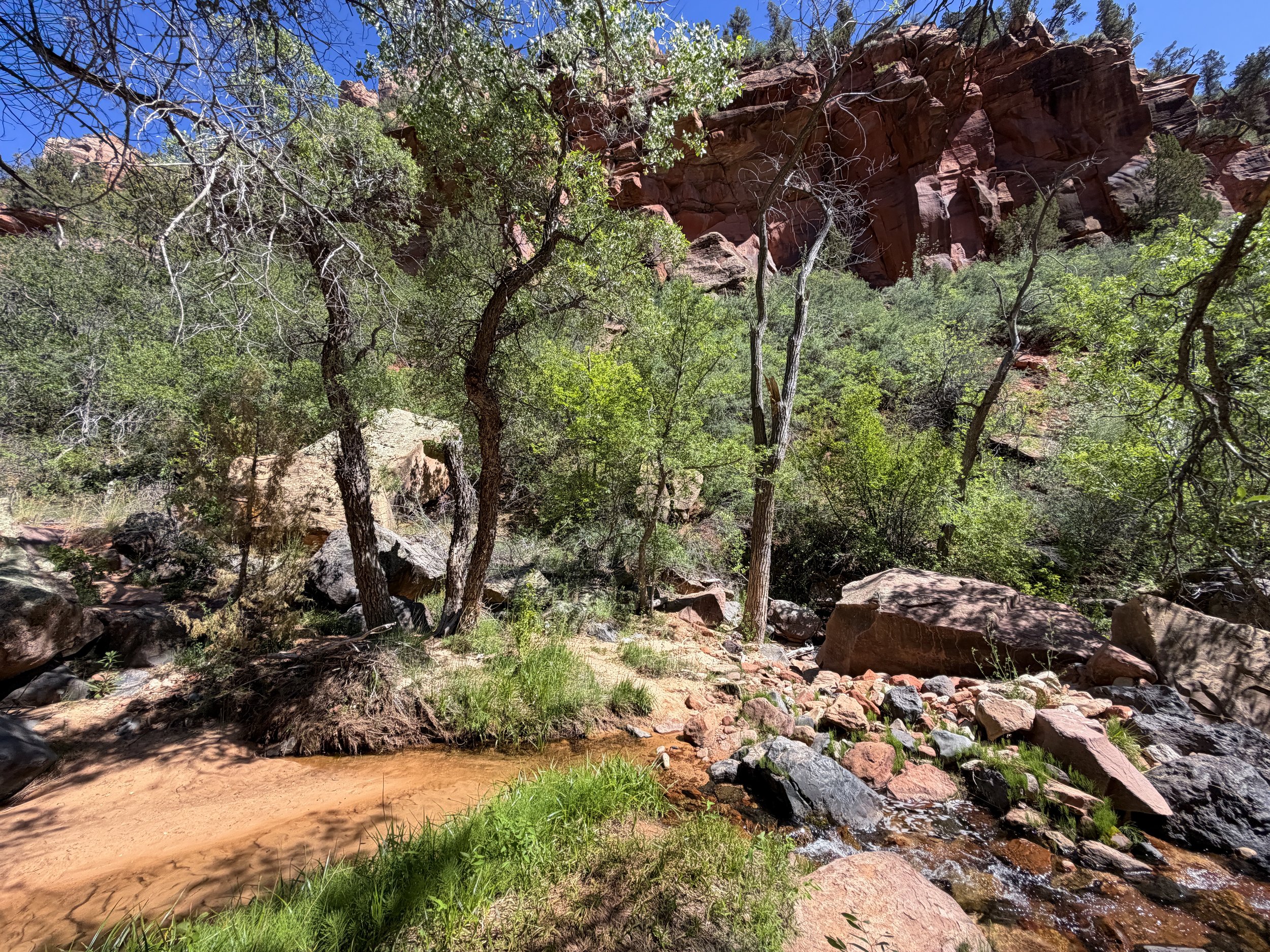 Subway Trail via Left Fork Trailhead Zion National Park Utah