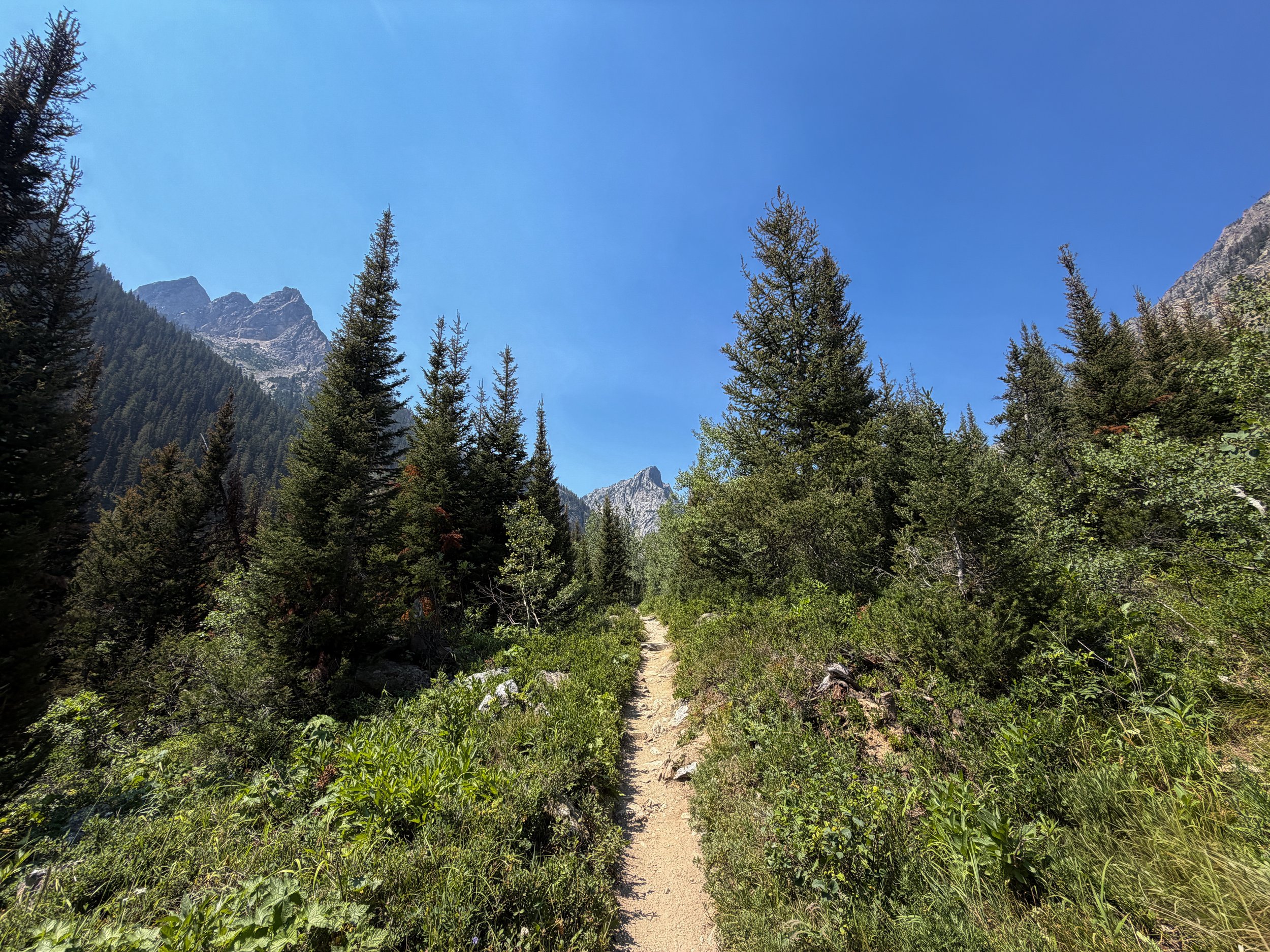 Cascade Canyon Trail Grand Teton National Park Wyoming