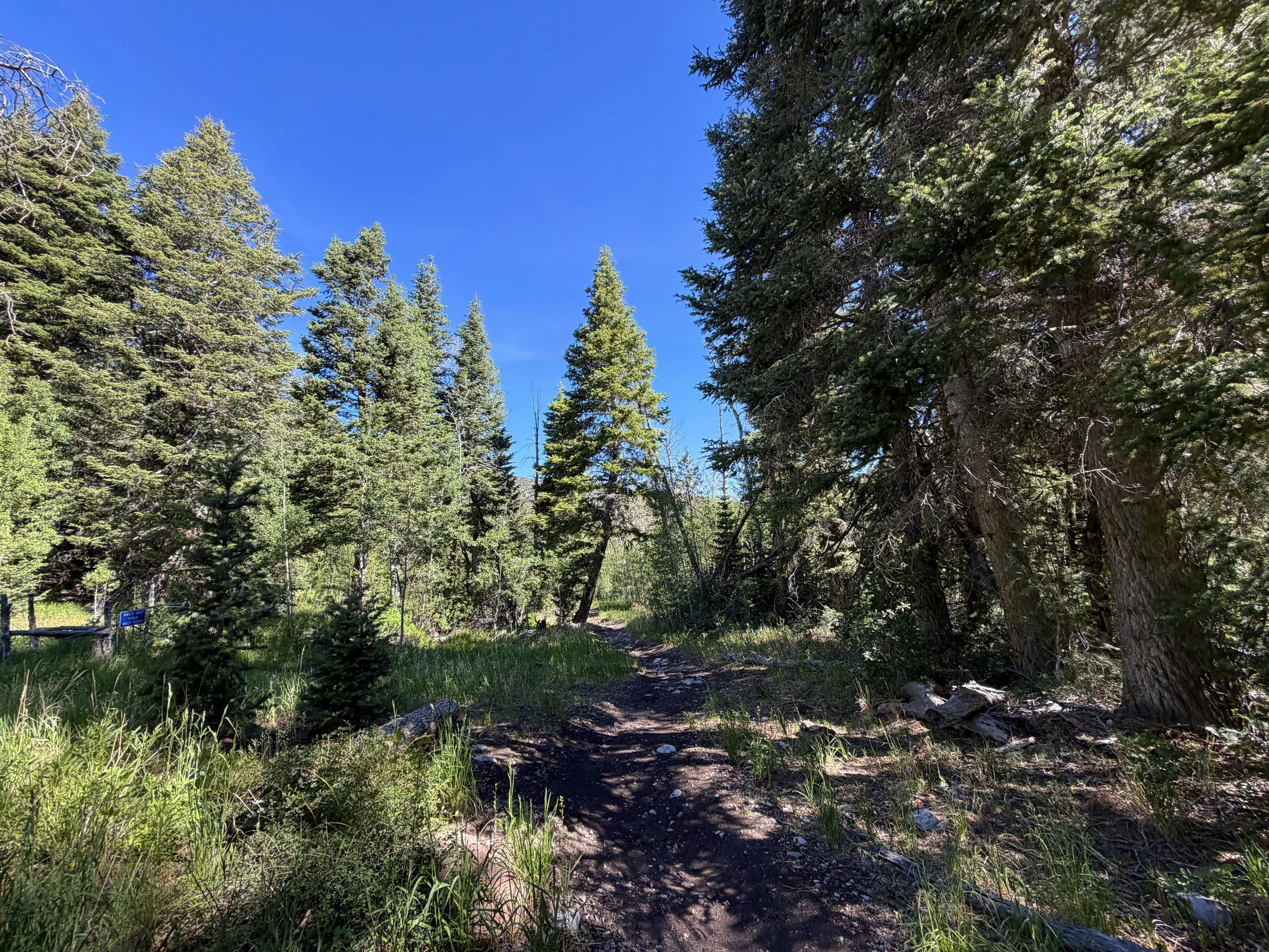 Pole Canyon Trail Great Basin National Park Nevada