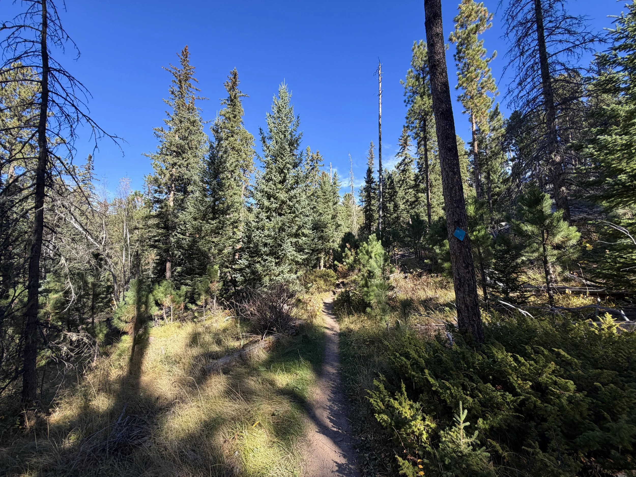 Sunday Gulch Hike Custer State Park Black Hills South Dakota