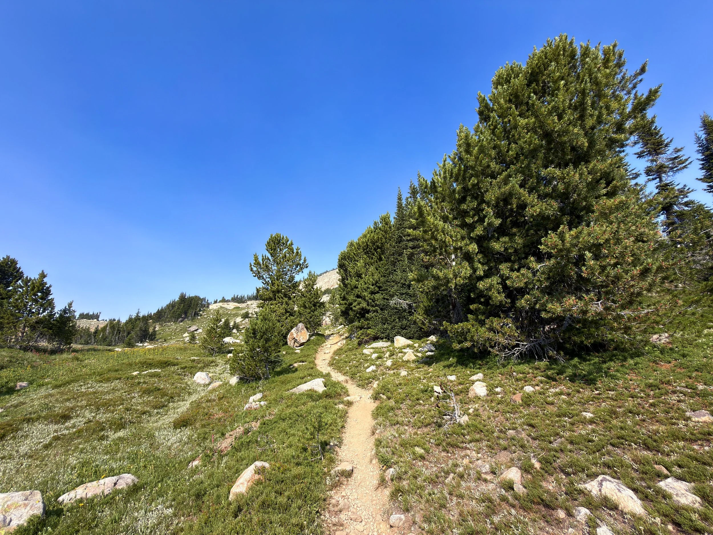 Beaten Path Hike Beartooth Mountains Montana