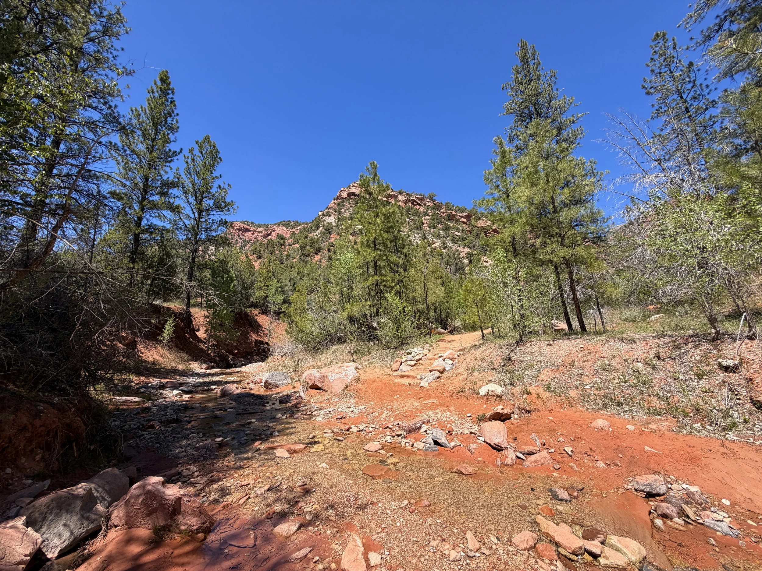 Middle Taylor Creek Trail Zion National Park Utah